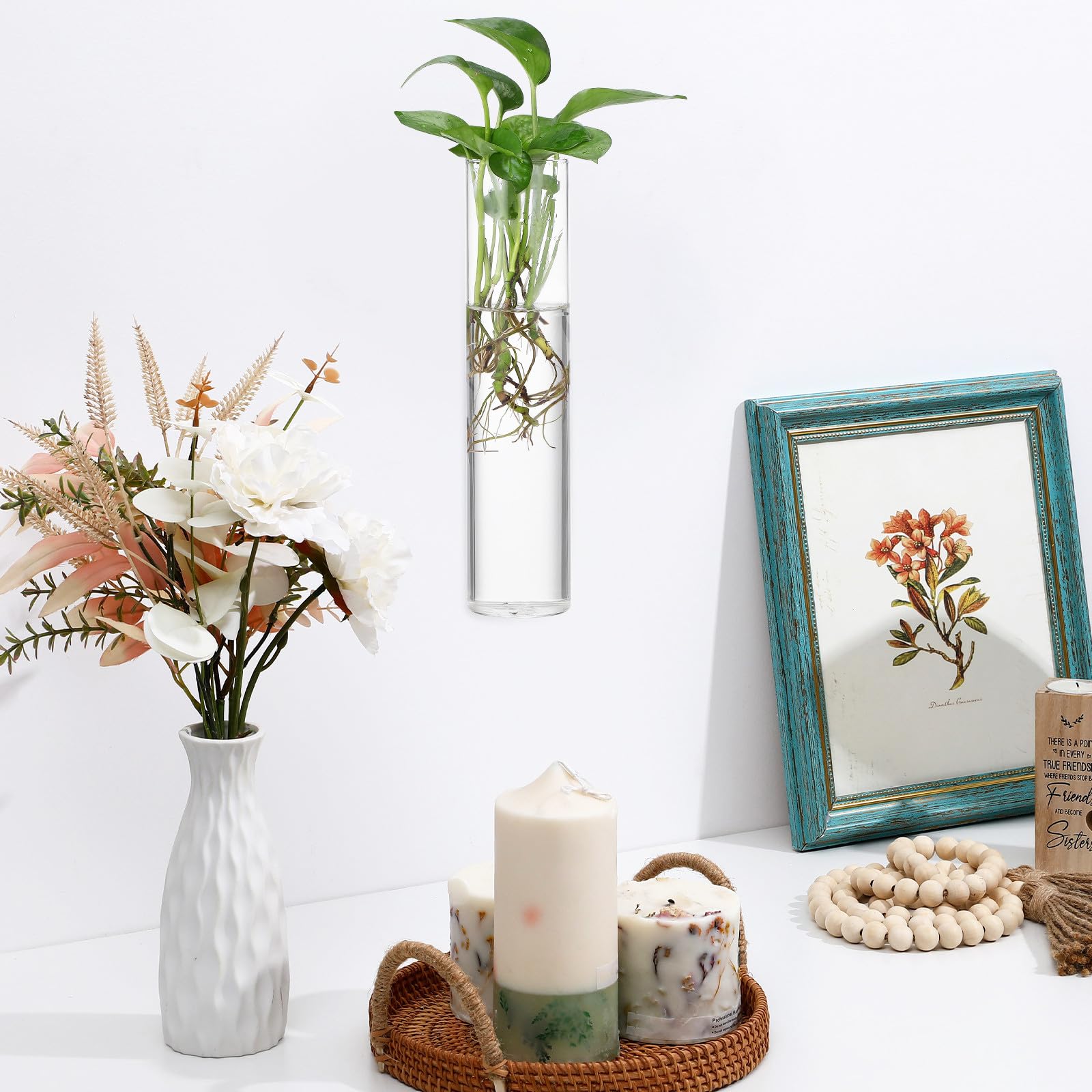 BESPORTBLE Set di vasi cilindrici da parete in vetro con superficie liscia e facile da pulire, 2 pezzi, supporto per piante acquatiche da appendere, terrario decorativo moderno per piante da interno