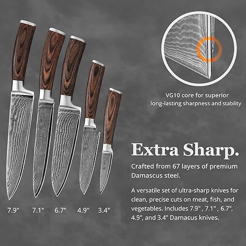 Miniatura 5 de Wakoli EDIB Juego de Cuchillos de Damasco de 5 Piezas – Juego de Cuchillos de Chef Profesionales con Hojas de Núcleo VG10, Acero de Damasco de 67