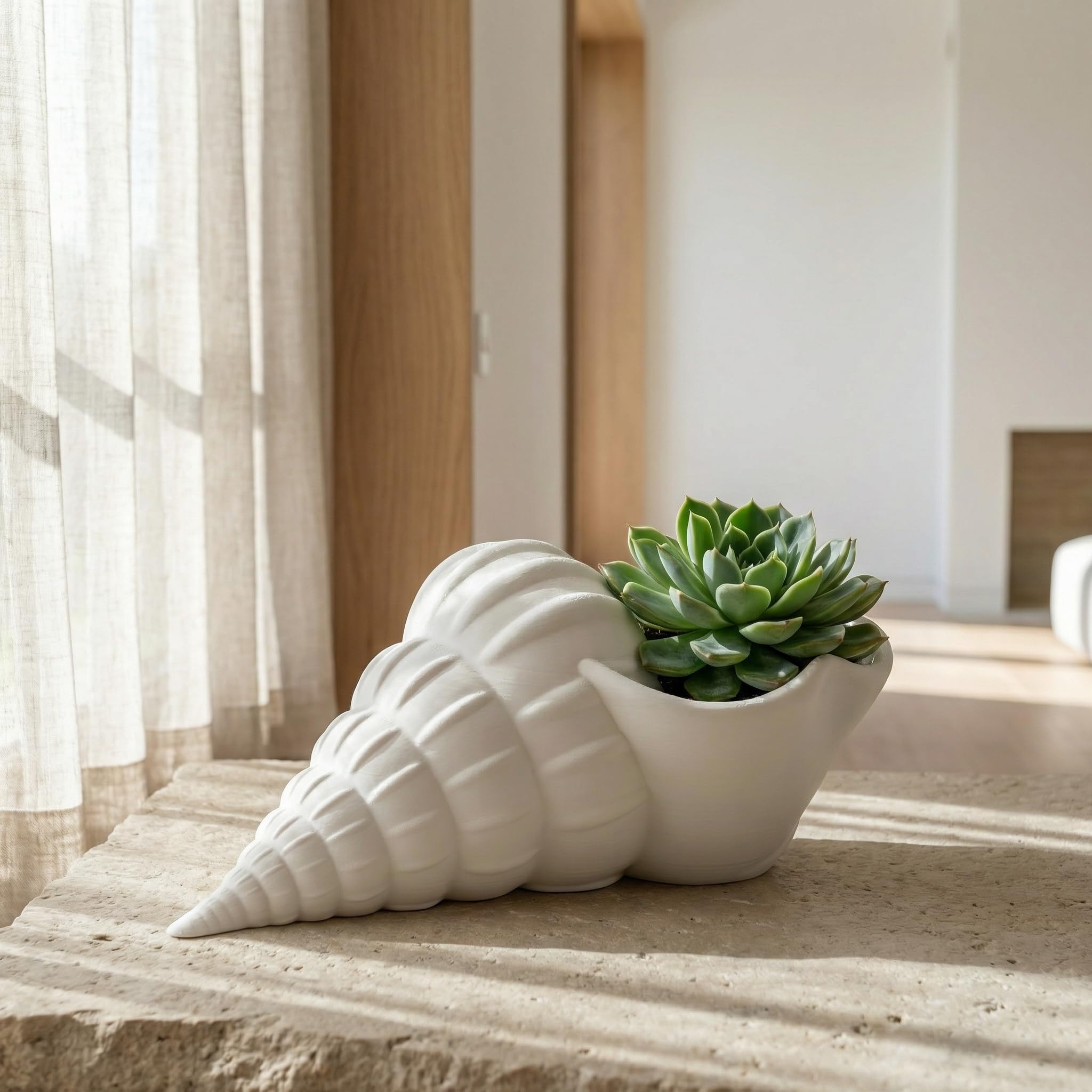 3D Printed Seashell Planter | Modern Coastal Succulent Pot for Indoor Plants | Minimal White Shell Planter for Tabletop, Shelf, Desk, Living Room & Home Décor-image-24