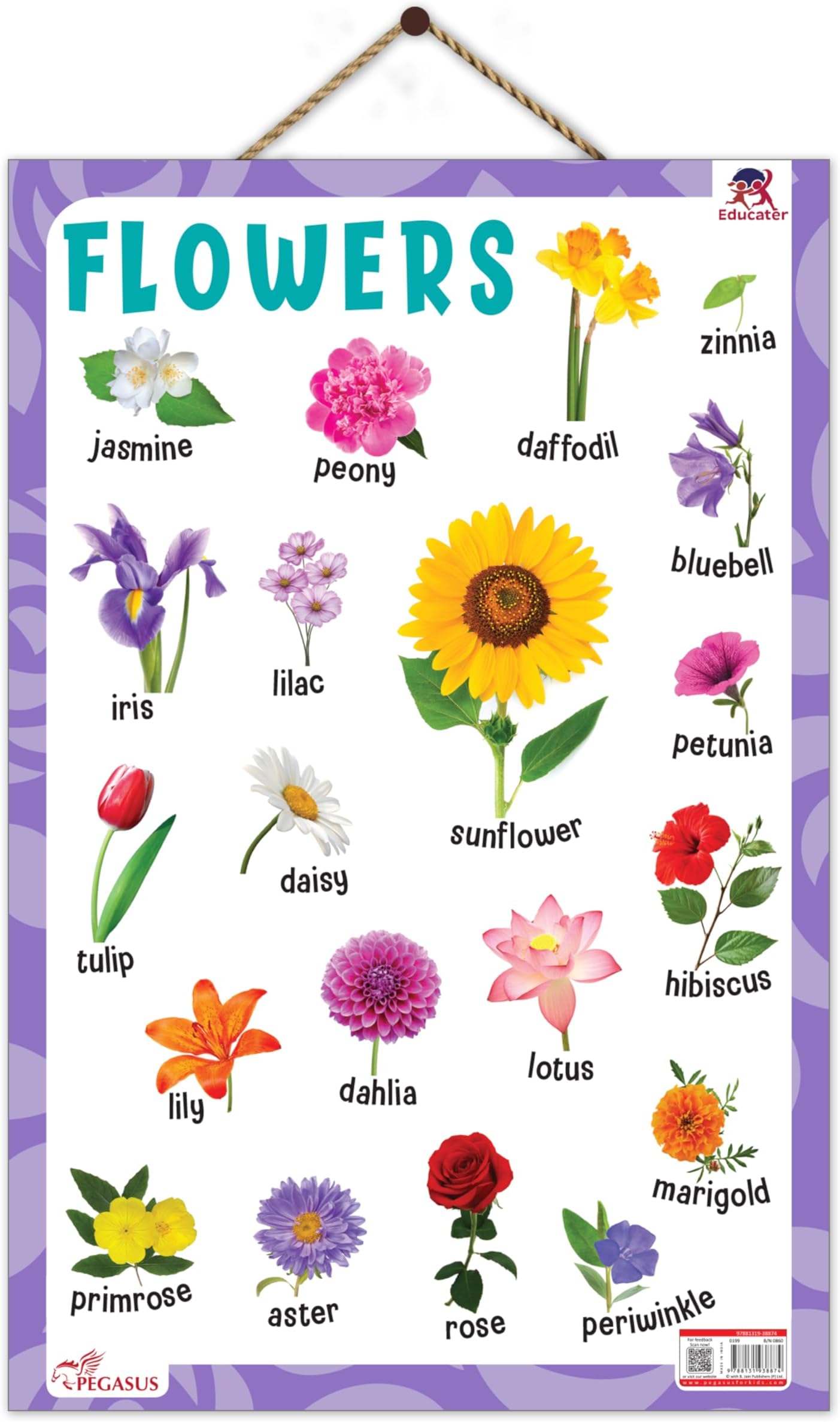 Flowers - Thick Laminated Primary Chart