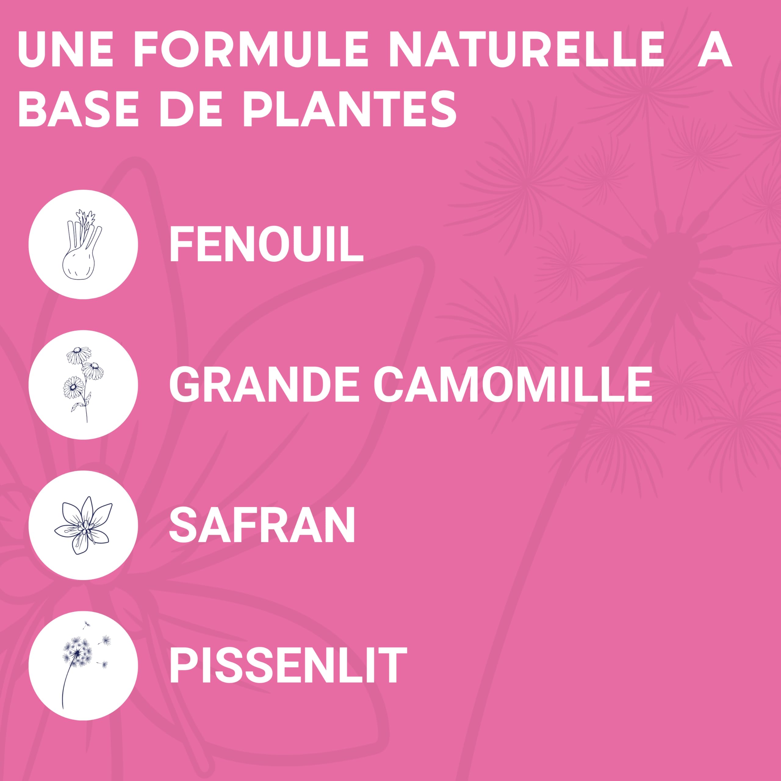 FORMULE CYCLE MENSTRUEL | SPM + Règles douloureuses | Pissenlit, Fenouil, Gattilier, Safran, Grande Camomille, Vitamine B6 | Complement Alimentaire 100% Naturel | 60 Gélules | Fabriqué en France
