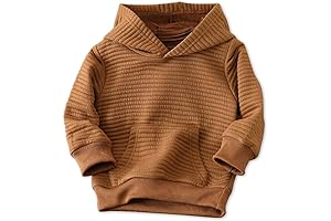Comfy and Cozy Toddler's Solid Color Pullover Hoodie