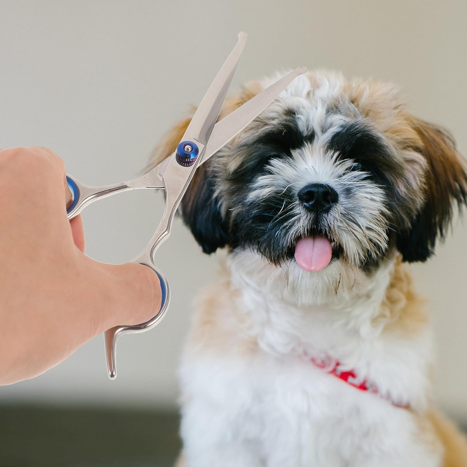 minkissy 2pcs Professional Pet Hairdressing Scissors Round Head Dog Scissors for Grooming Home Pet Hair Shaper Non-slip Handle