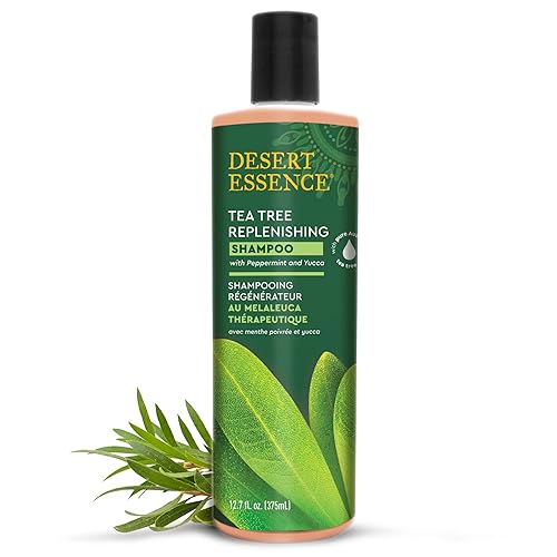 Miniatura 2 de Desert Essence Champú reabastecedor de árbol de té, 12.7 onzas líquidas, paquete de 2, terapéutico, menta y yuca, restaura y nutre el cabello,