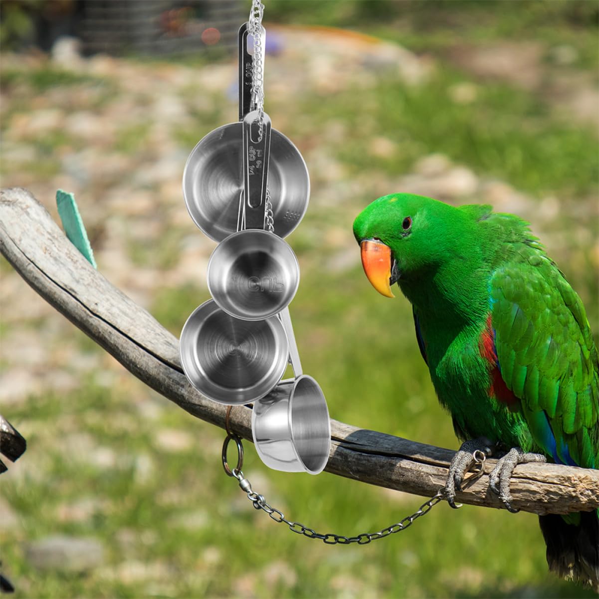 Happyyami 2 Stück Vogelspielzeug für Papageien Kauspielzeug mit Hängendem Design Sicheres und Leichtes Material für Vögel Aktivität und Spielspaß