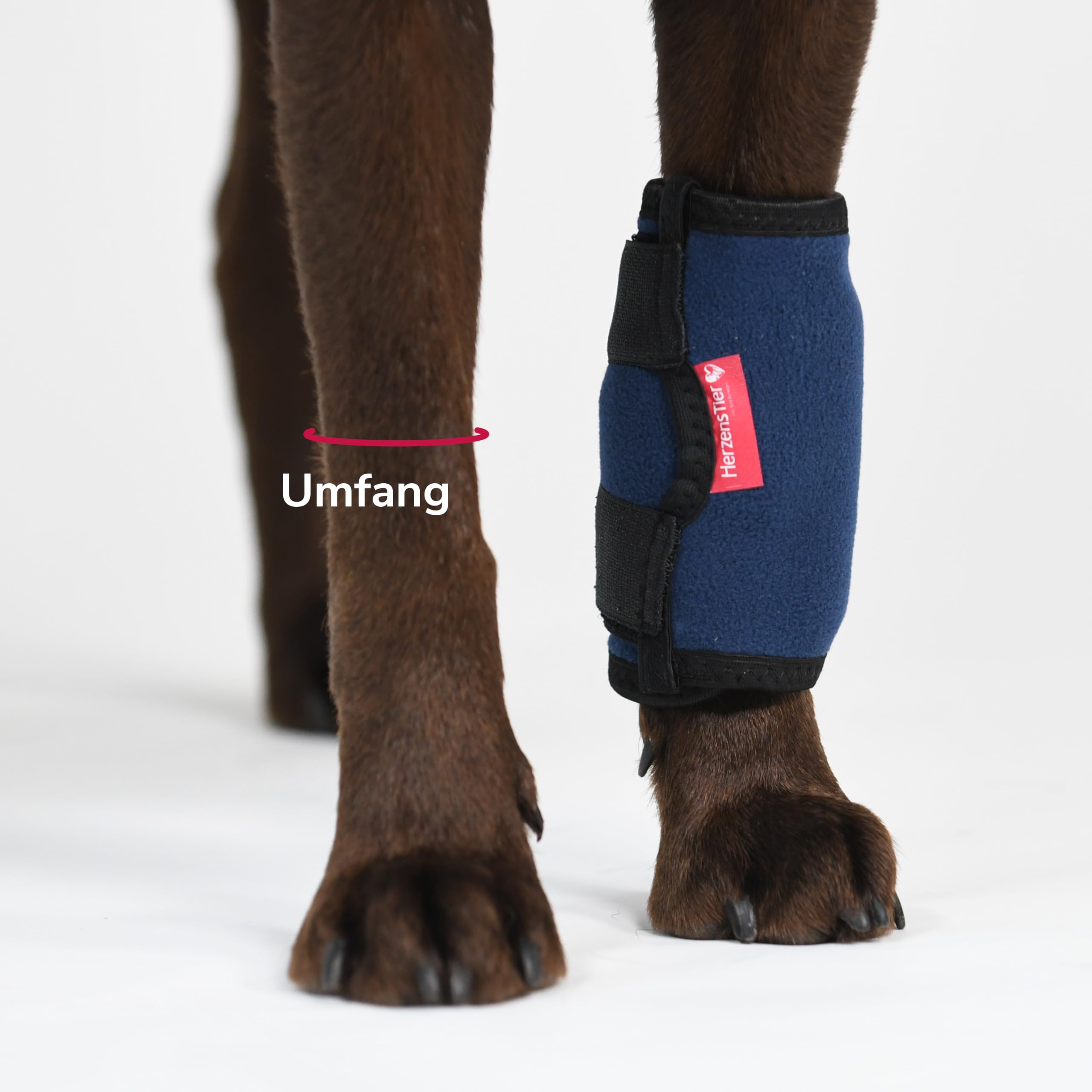 Kühl- und Wärmebandage Gr. S für Hunde & Katzen, 2in1 Therapie bei Verletzungen & Arthrose