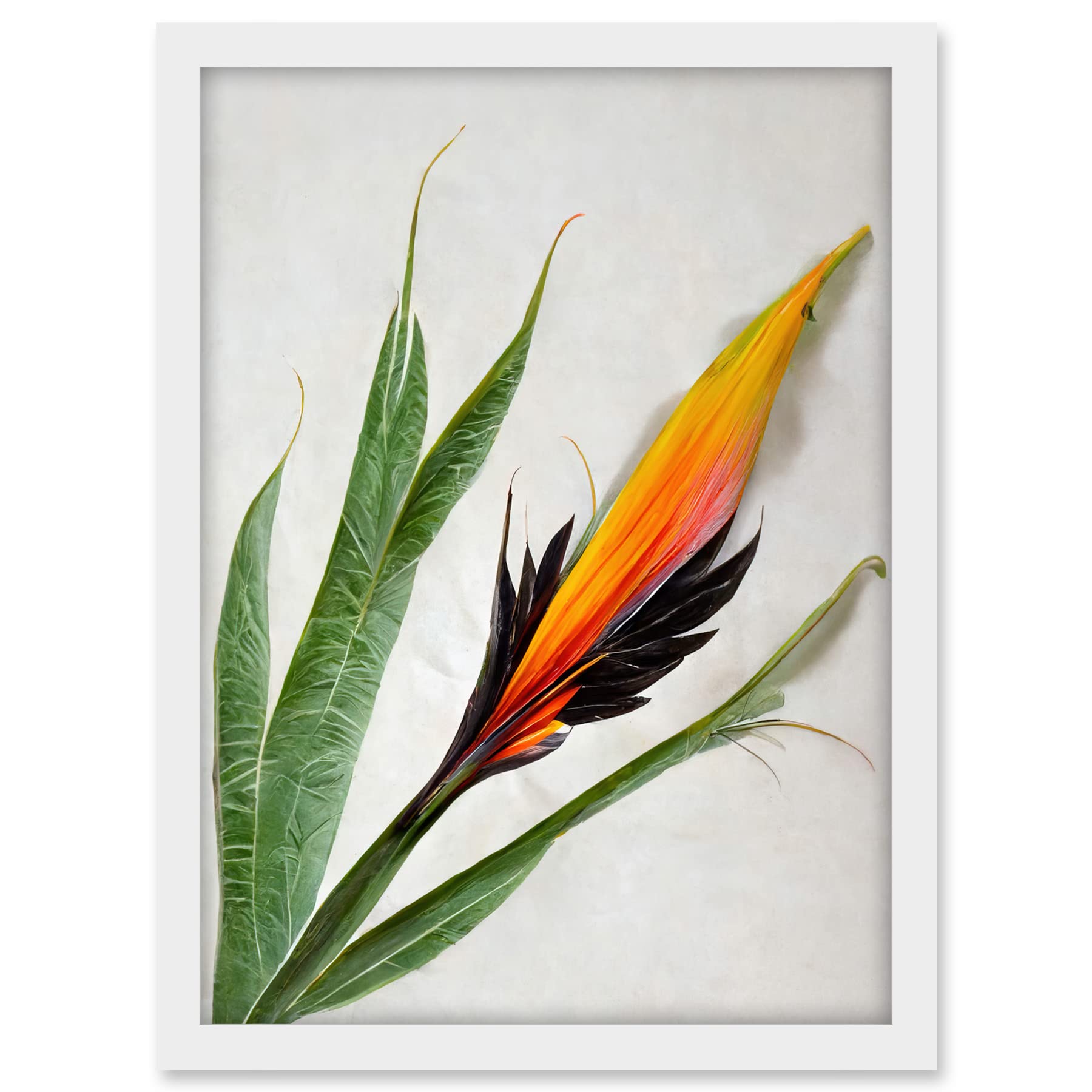 Wee Blue Coo Bird of Paradise Tropical Plant Flower and Leaves Illustration on White Artwork Framed A3 Wall Art Print