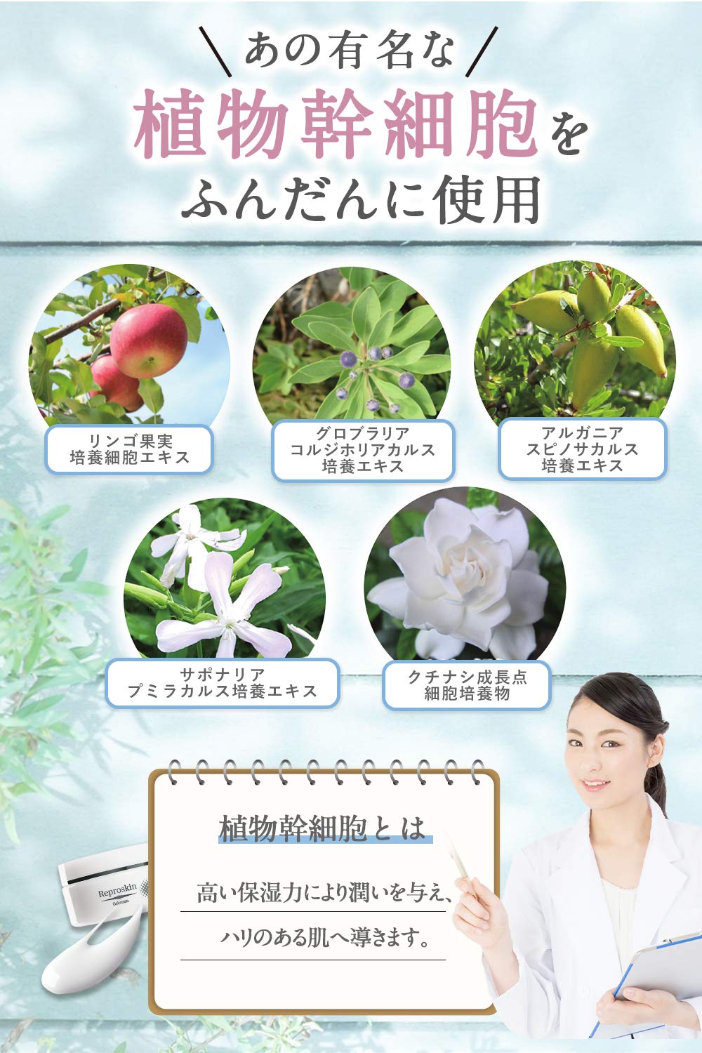 Amazon.co.jp: リプロスキン ジェルクリーム 50g 植物幹細胞エキス配合