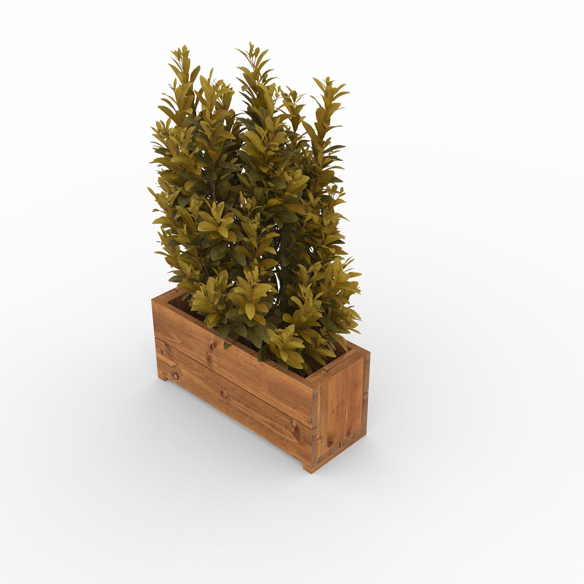 View 3
