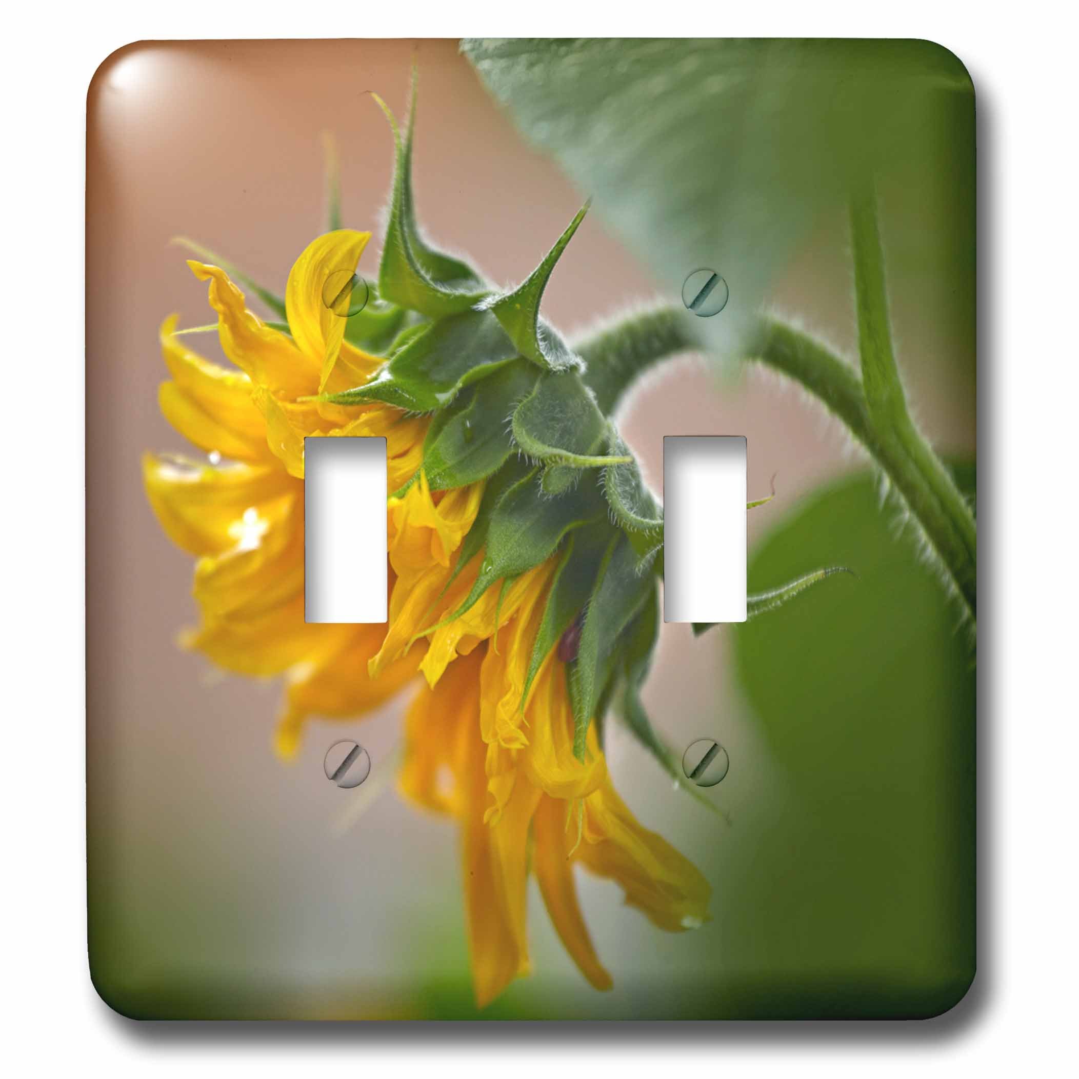 Interrupteur double 3dRose lsp_259043_2 motif tournesol de Californie