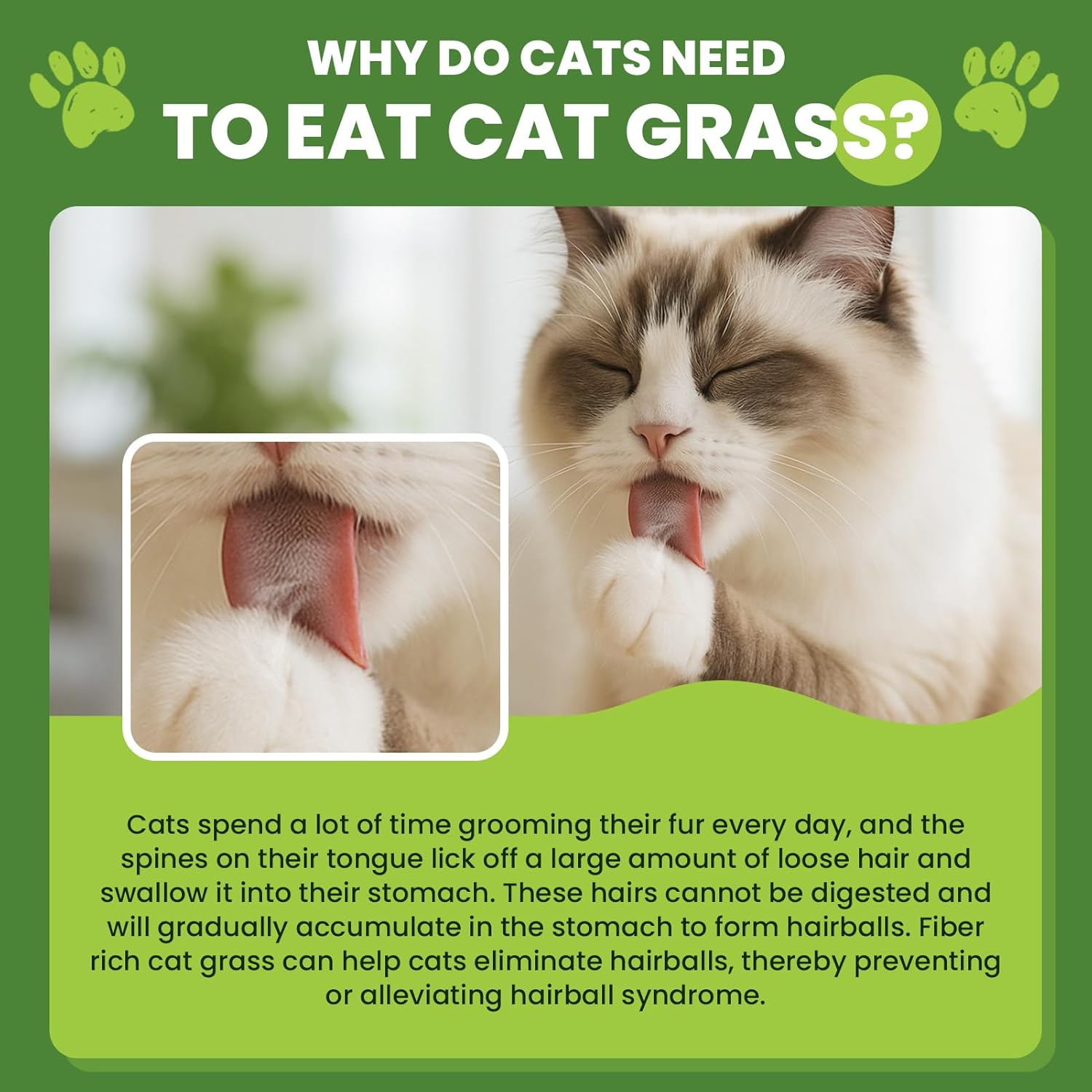 Cat Grass Sticks, 60 g Cat Grass Teething Stick and 50 g Cats Treats, Natural Dental Chews for Teeth Cleaning & Hairball Relief Teething Sticks for Indoor Cats Grain-Free - Image 5