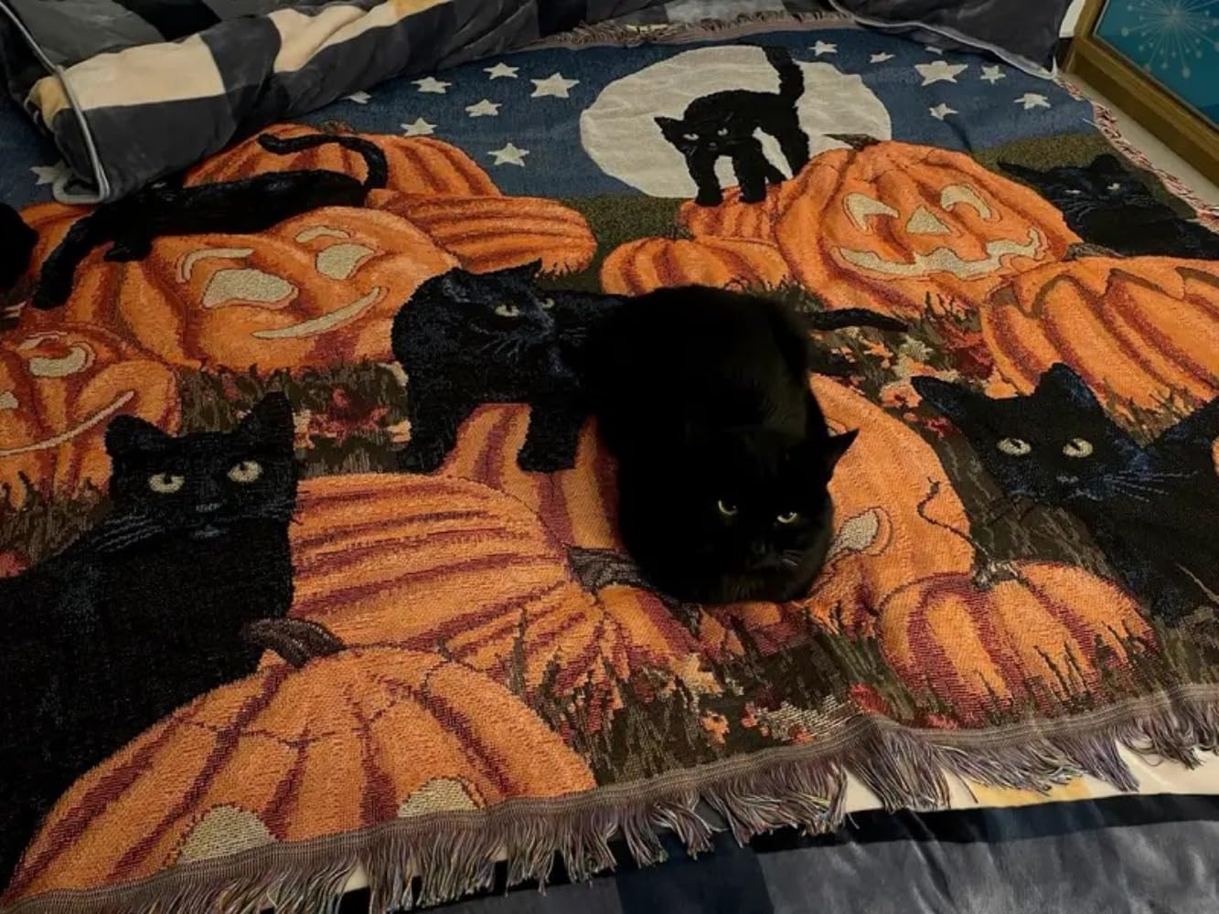 Manta de gato para sofá, manta para mascotas, manta de otoño para Halloween, regalo para amantes de los gatos