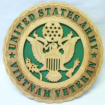 Custom Laser Accents Army Wall Tribute Vietnam Veteran
