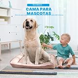 Ver la foto 2