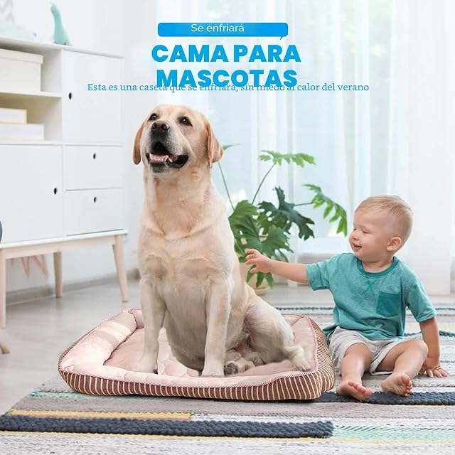 Foto 2 de 7 de PETCUTE Cama Ortopédica para Perros, Sofá Cama para Mascotas, Acolchado Suave