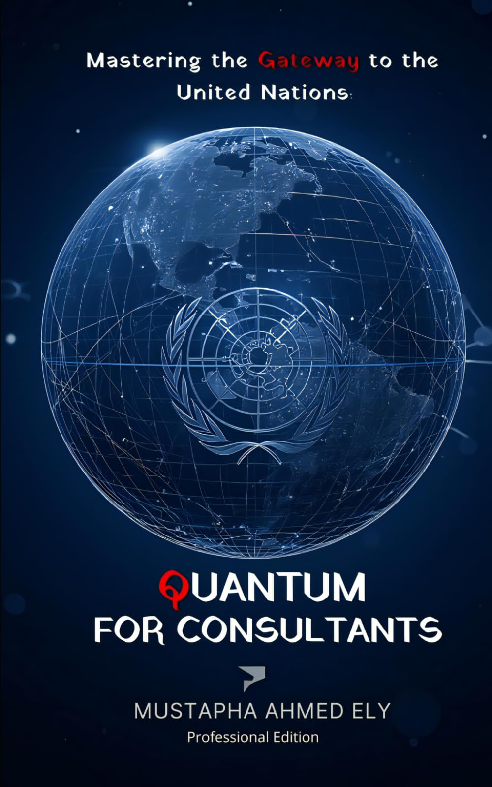 Quantum for Consultants: A Comprehensive Guide to Navigating the UNDP Oracle Cloud Platform