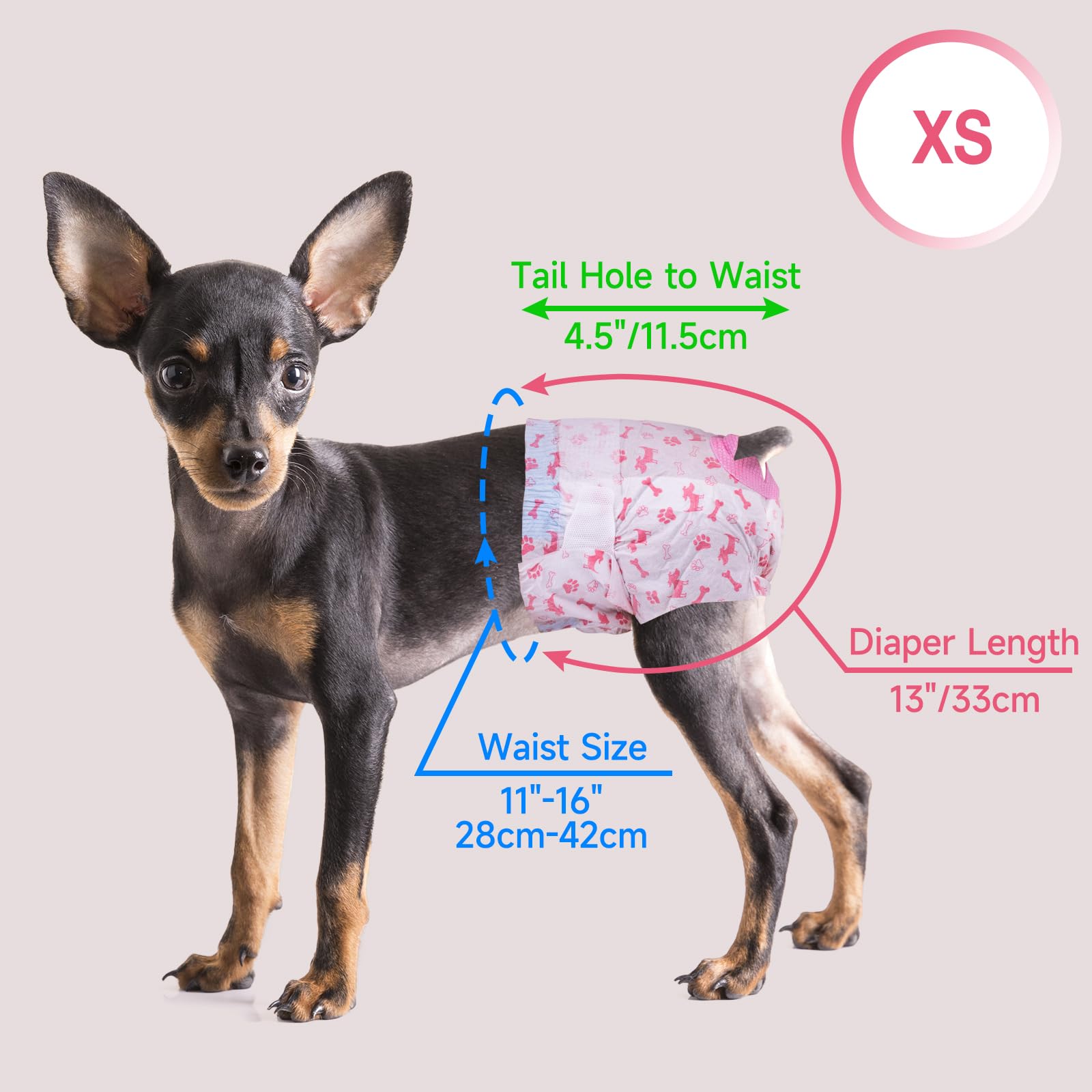 Pet Soft Pannolini per cani femmina, 20 pezzi usa e getta per cani femminili, pannolini usa e getta per cani femmine in stagione/calore/incontinenza con foro per la coda (XS-20 pezzi)
