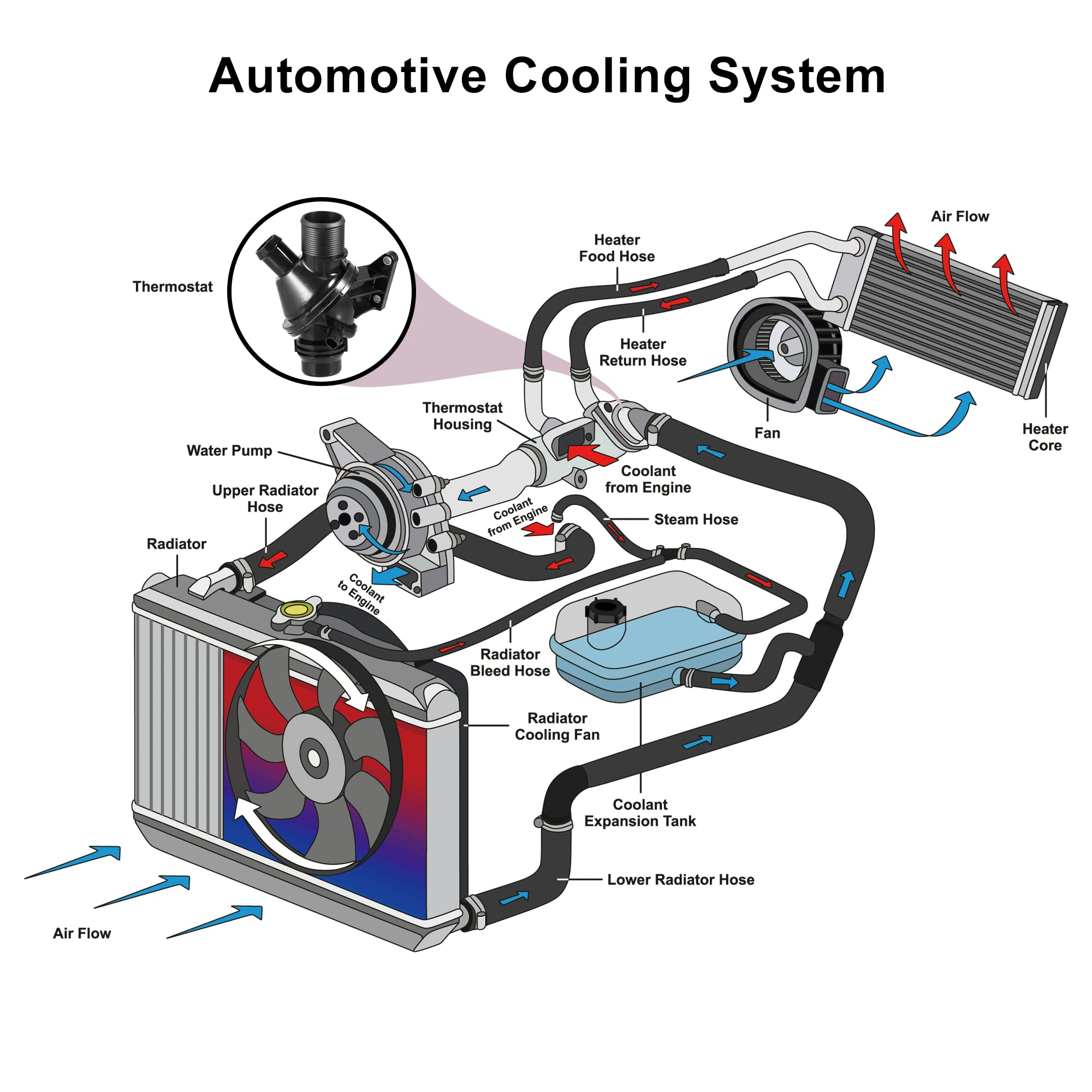 Amazon.com: X AUTOHAUX 11537633476 Engine Coolant Thermostat 