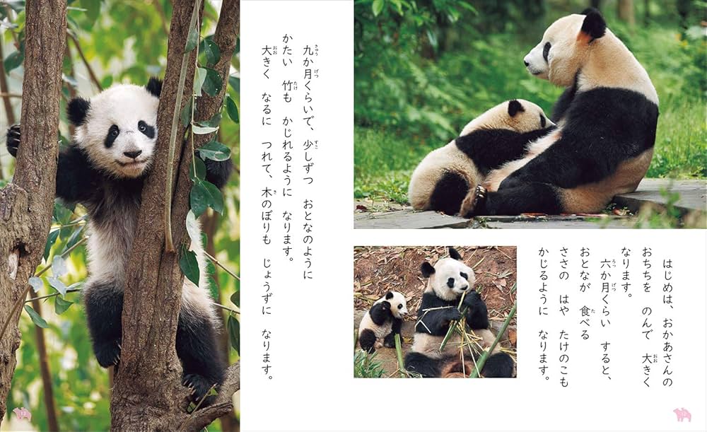 3 生きものの 赤ちゃん (教科書にでてくる 生きものをくらべよう