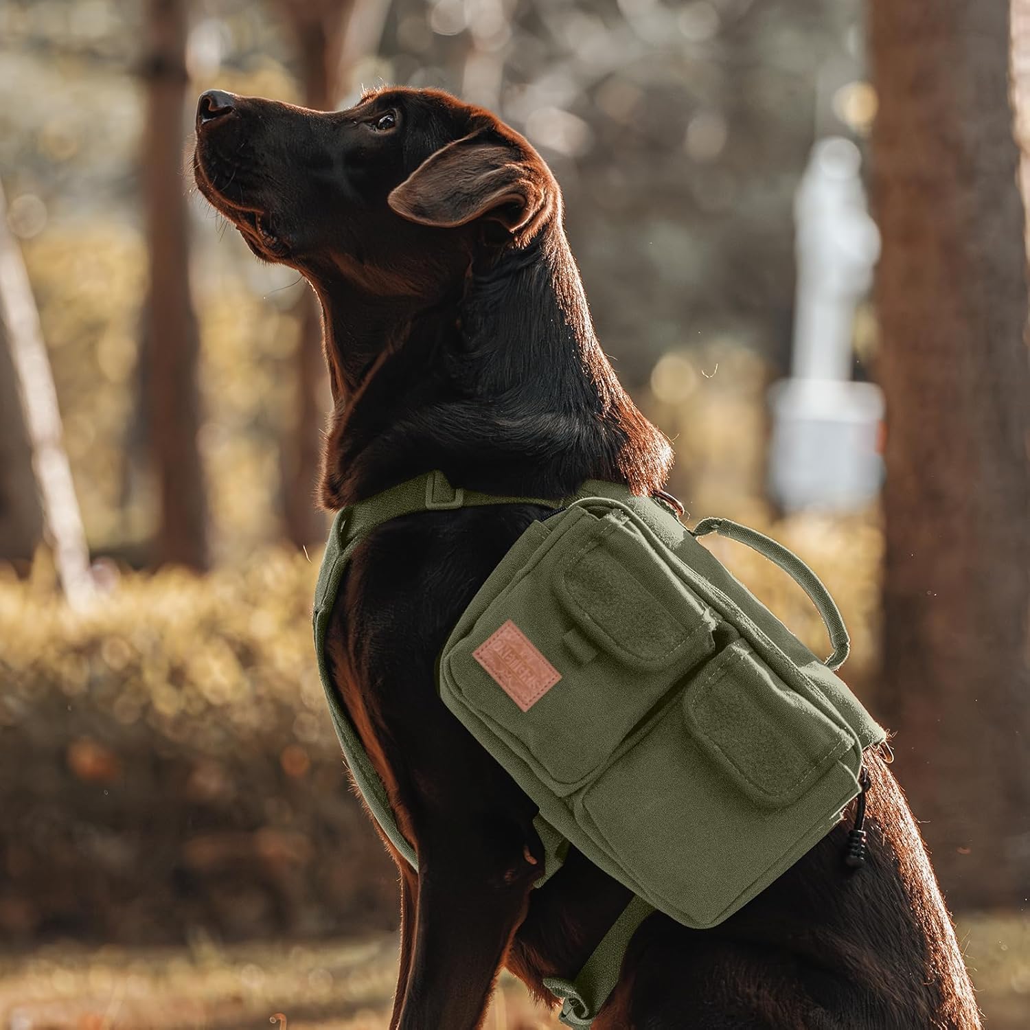 OneTigris Hundegeschirr mit Tasche, Hoppy Camper 3.0 Camping Wandern Hunderucksack für für Mittlere/Große Hunde, Rucksack für Hunderücken 2 Haupttaschen 4 Nebentaschen - Grün M
