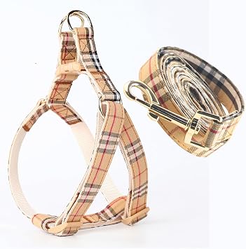 SuperBuddy Cute Dog Harness and Leash,Adjustable and No Pull Harness with Safety Buckle for Small Medium Large Pet