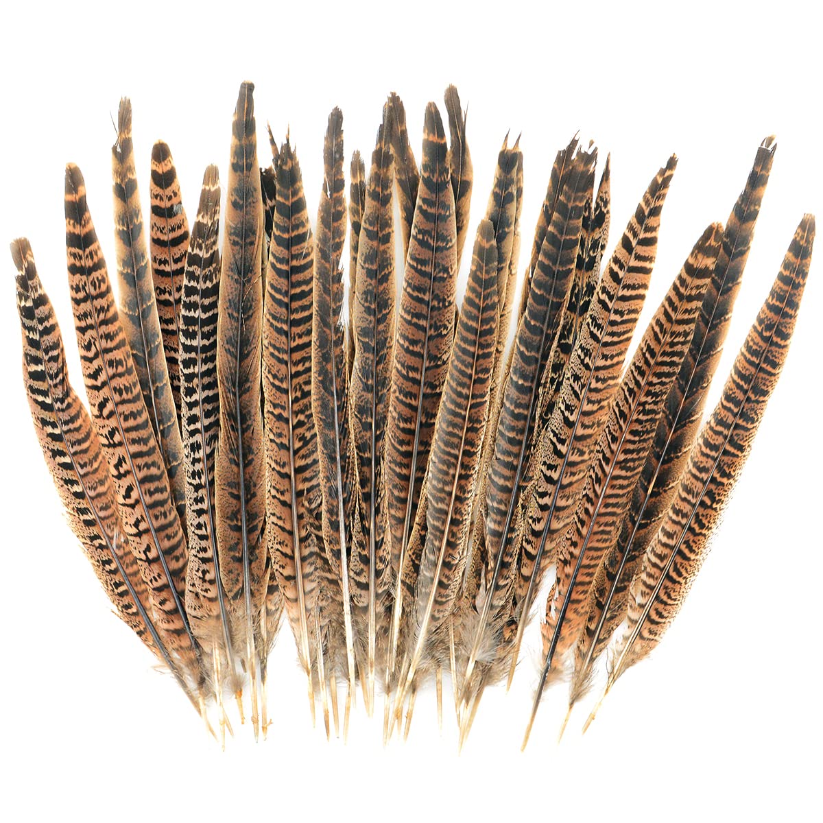 YiThao 30 Pcs Natural Pheasant Feathers, 25-30 cm Brown Speckled Feathers, DIY Pheasant Tails Feather Soft Native Plume for Hair Hats Crafts Home Wedding Party Decoration Cosply Props