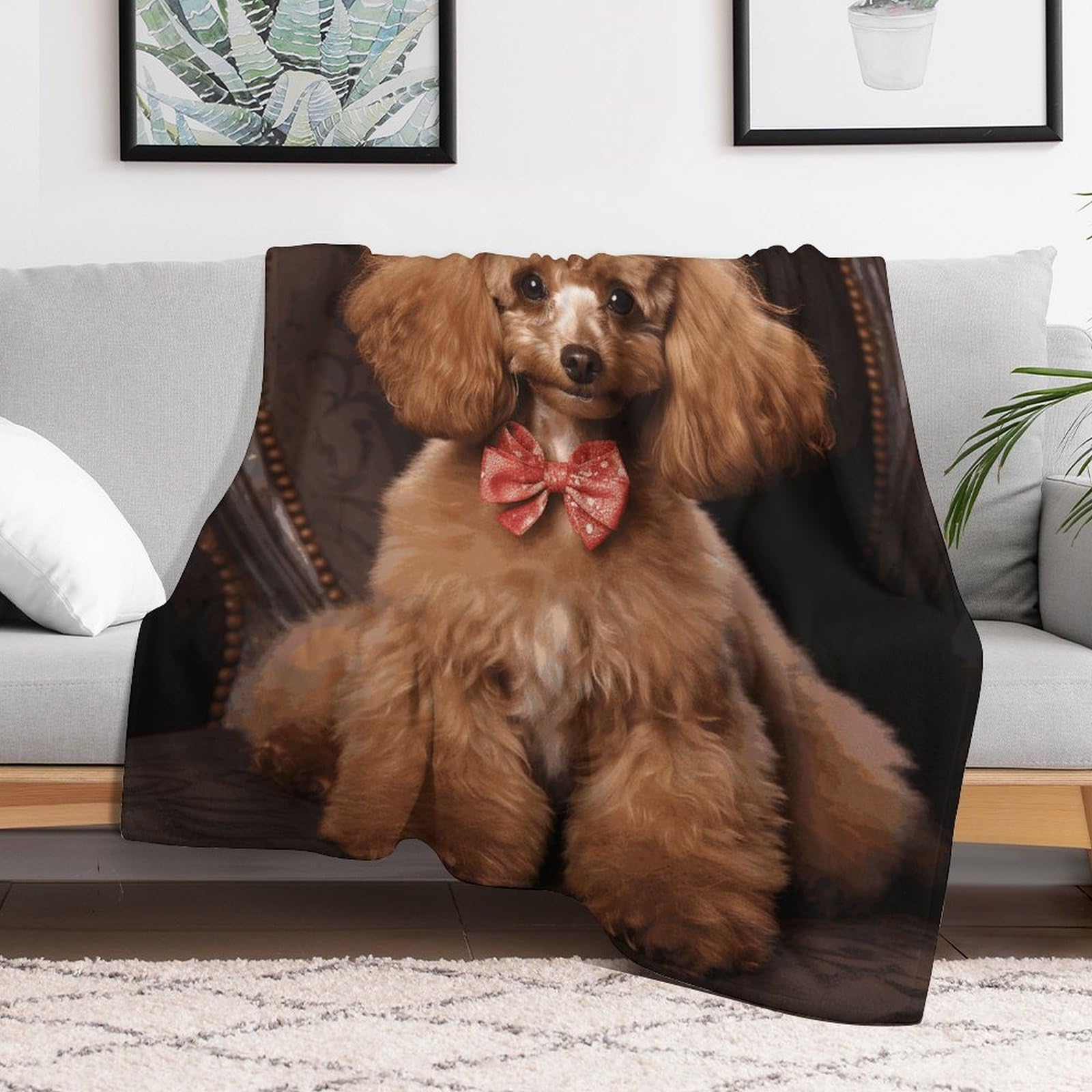 Custom Poodle Blanket Lightweight Flannel Fleece Throw for Couch Sofa Bed Luxury Soft Cozy Plush Lap Bedtime Blanket for All Seasons Bedroom Home Decor Gifts 50x60