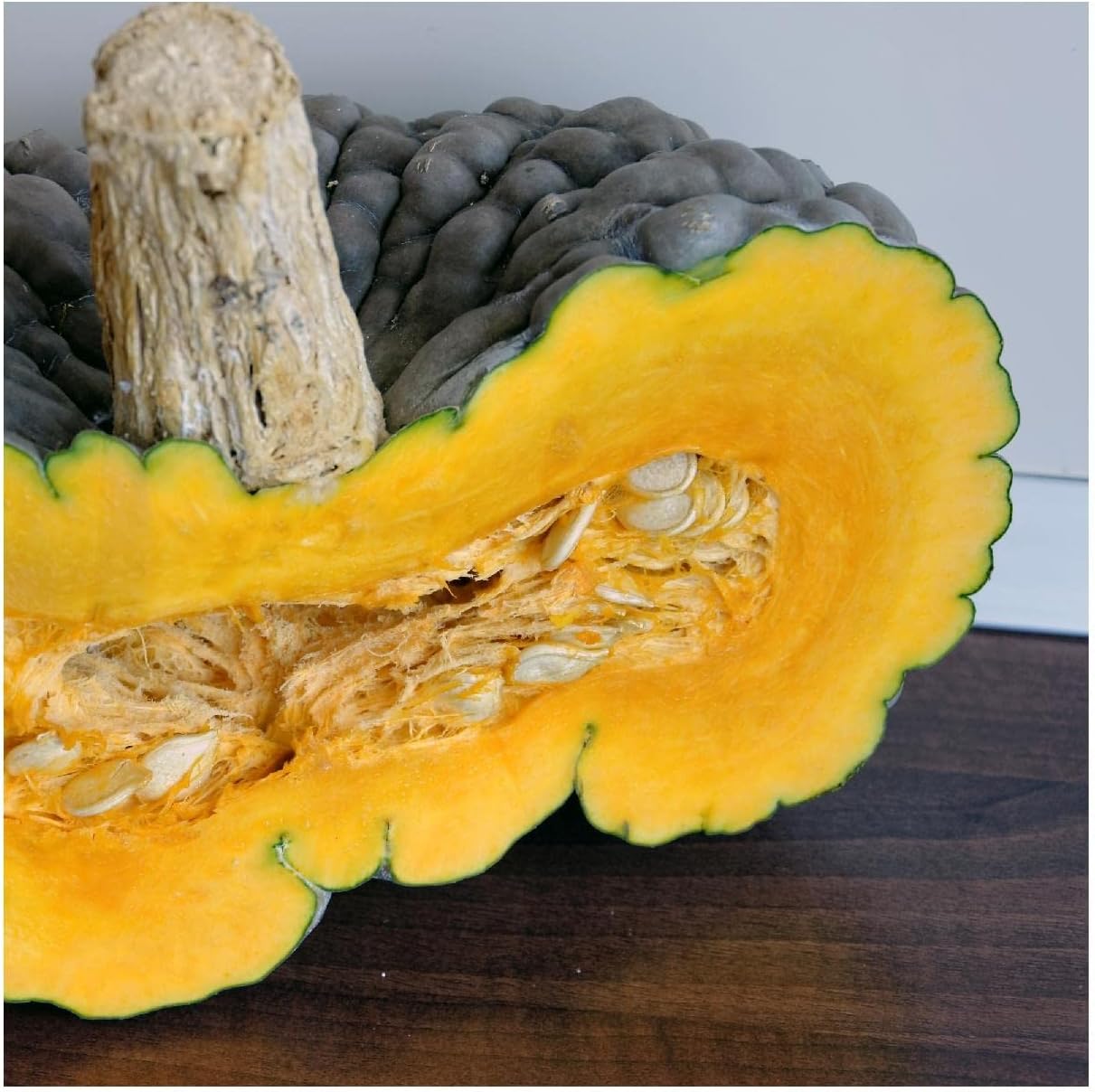 Everwilde Farms - 1/4 Lb Marina de Chioggia Winter Squash Seeds - Gold Vault