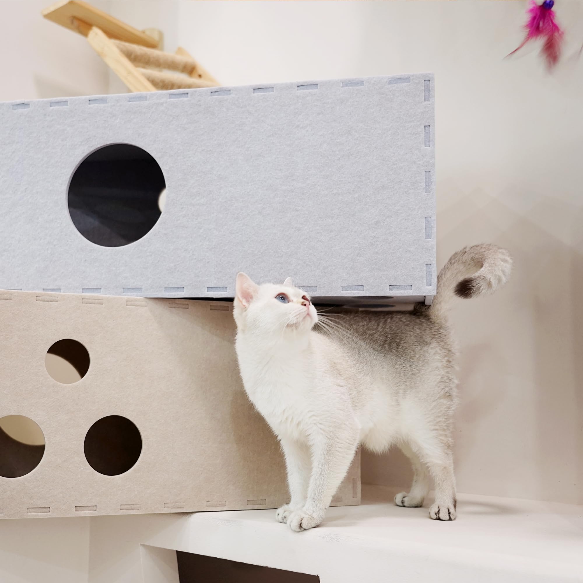 PETKARAY Tunnel per gatti, originale grotta per gatti da interni, grande tubo e tunnel per gattini, giocattolo per gatti in morbido feltro con foro interattivo
