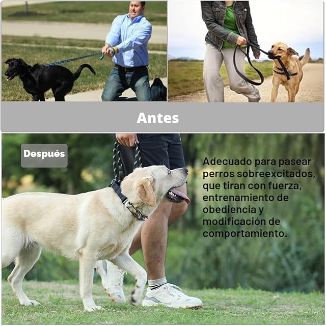 Foto 5 de 8 de Conjunto de collar y correa táctica para perro