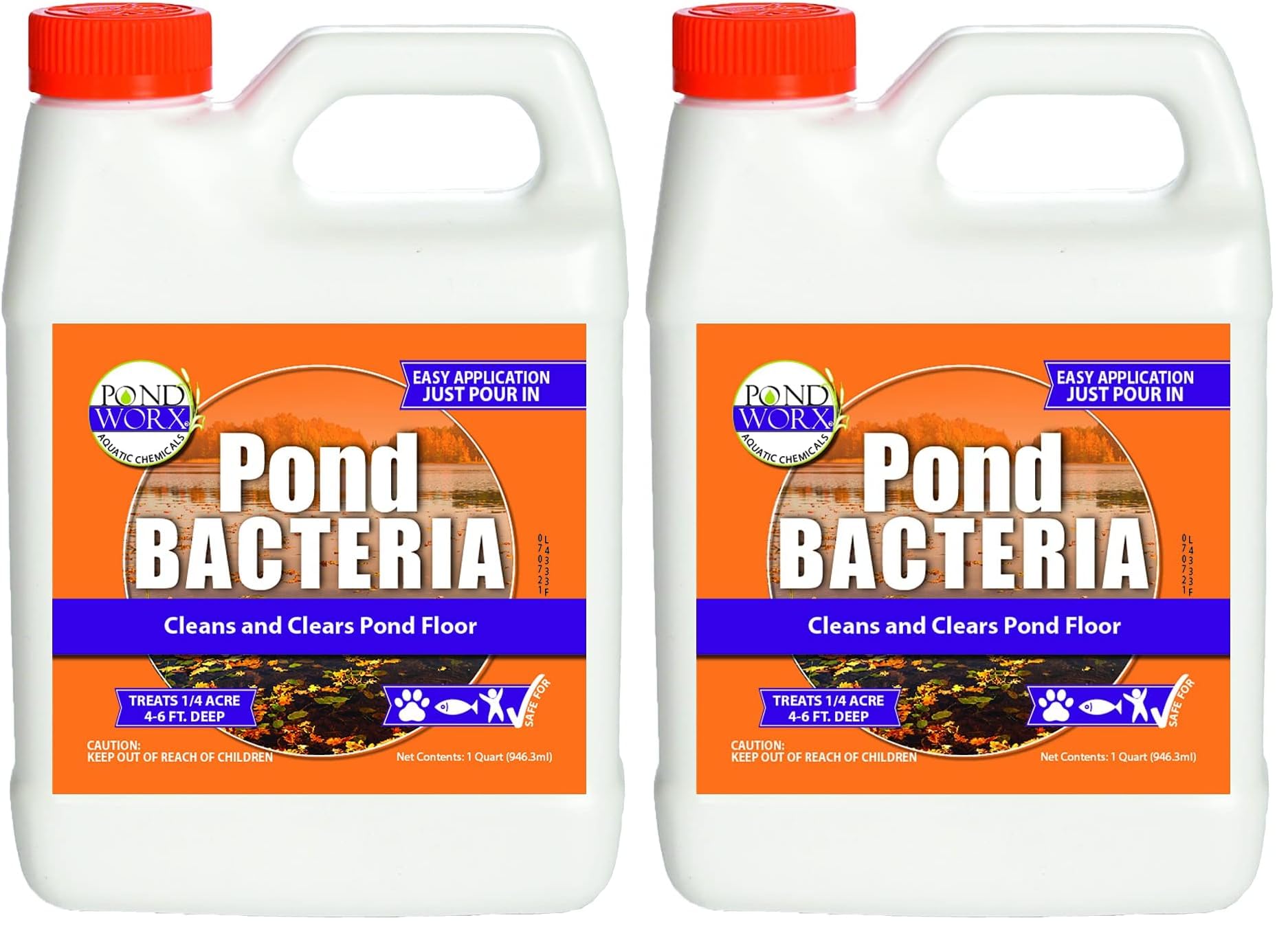 Pond Worx Pond Bacteria - Concentrated &amp; Formulated for Large Ponds, Water Features - Safe for Koi - 32 Ounces &amp; Treats up to a Quarter Acre Pond (Pack of 2)