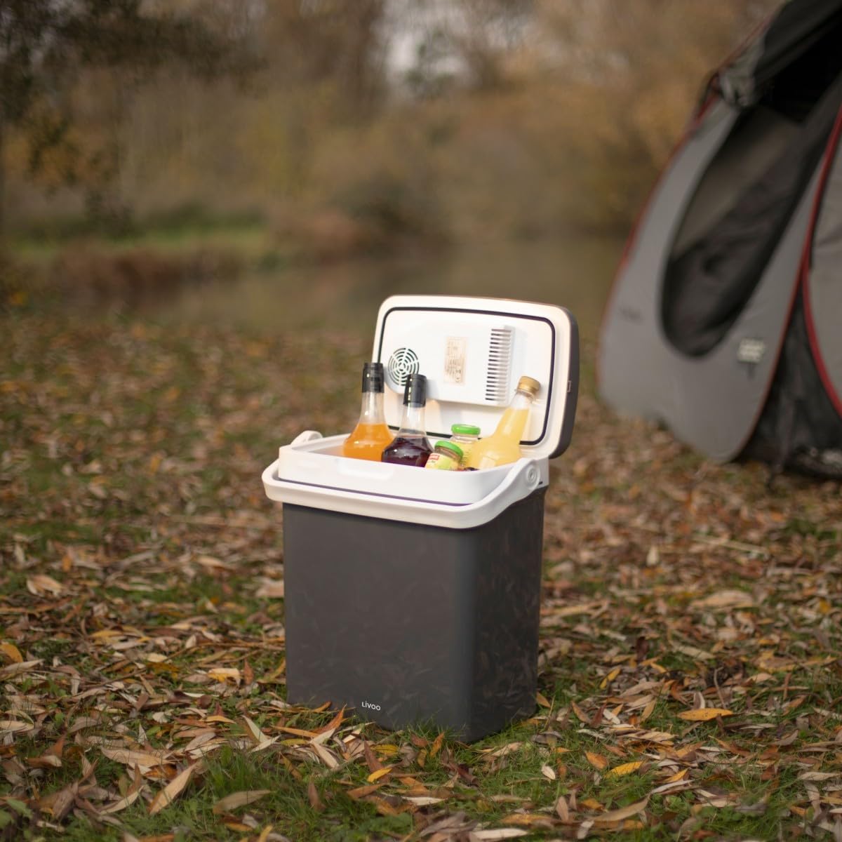 Livoo - Glacière électrique - Froid et Chaud, capacité 18L, ou 6 Bouteilles de 1.5L, Prise Secteur/Allume-Cigare