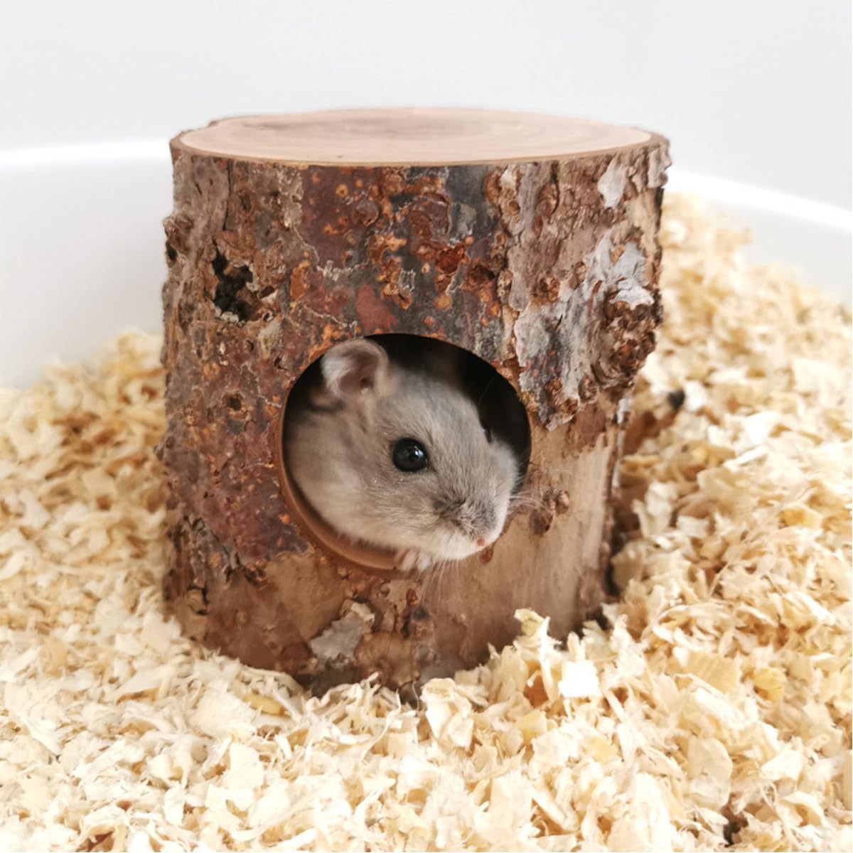 Didabotak Natural Wood Hideout for Hamster, Pet Rat Wooden Log Hide Out for for Hamsters Mouse Gerbils Mice Rat, Cage Accessories for Hiding and Resting