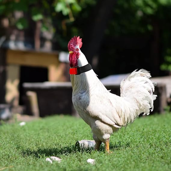 10 Pcs No Crow Rooster Collar for Roosters Cockerel Nylon Rooster Collar to Stop Crowing Prevent Chicken from Screaming or Disturbing Neighbors