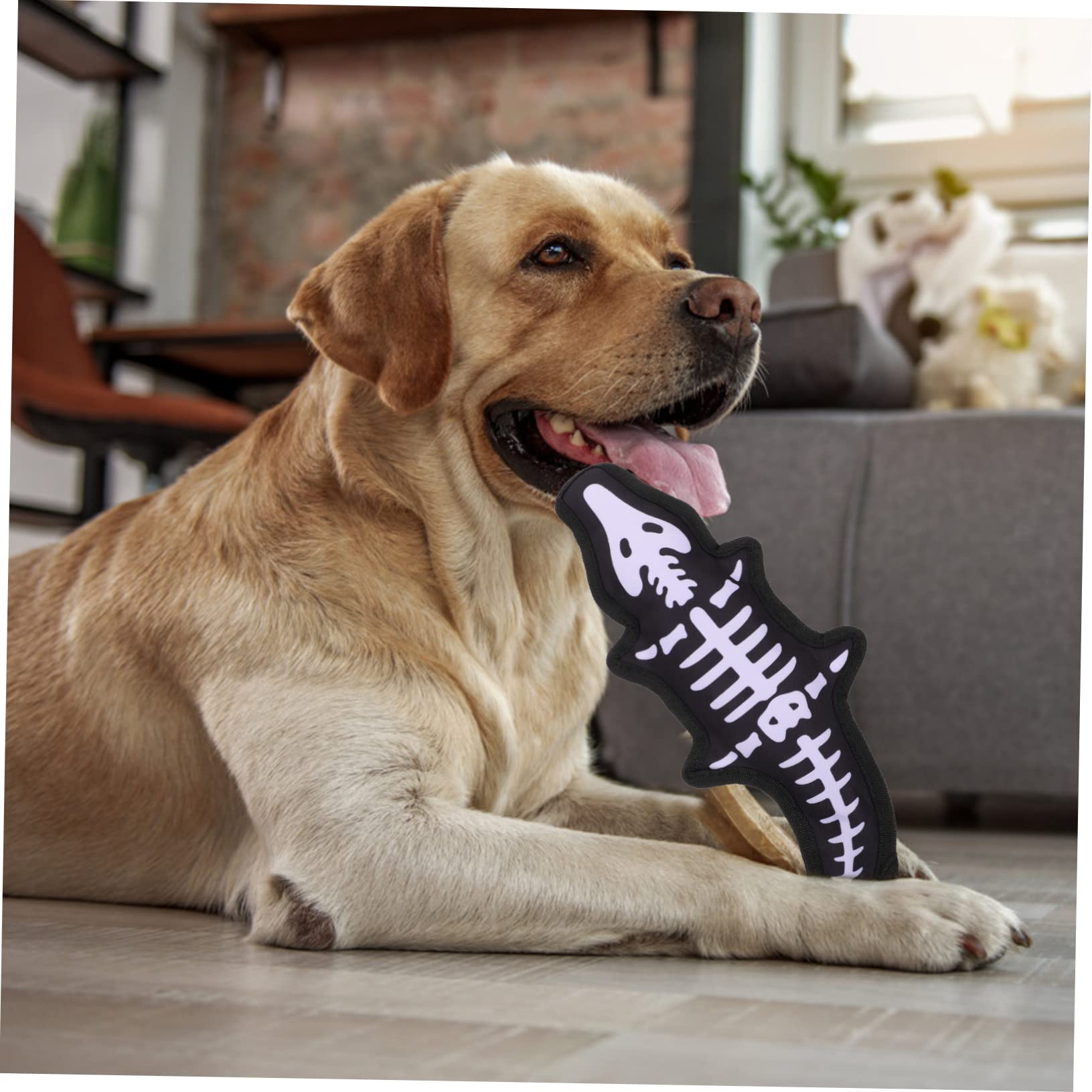BESPORTBLE Jouet À Mâcher pour Chien Jouet Couineur pour Animaux De Compagnie Matériel De Nettoyage des Dents Amusant pour Les Chiots