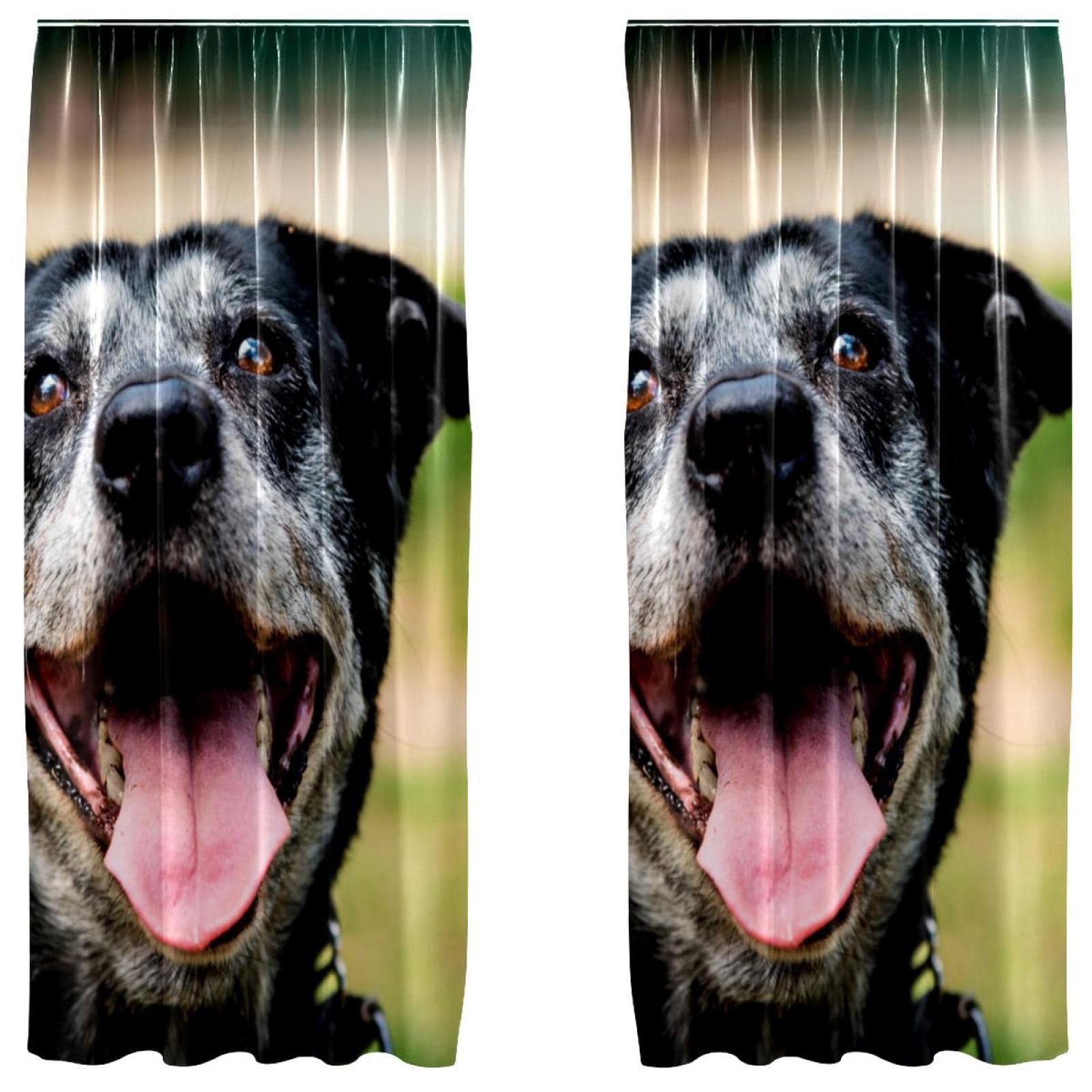 Rideaux occultants Happy Black Dog 140x213 microfibre occultation chambre enfant