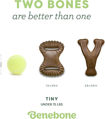 Vista 46 de Benebone - Paquete de 2 juguetes masticables duraderos para perros, diseño Wishbone/Dental, tocino real, fabricados en Estados Unidos, grandes