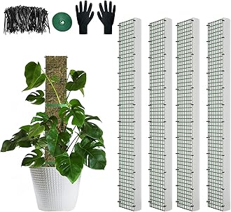 60"/40"/24" Metal Moss Pole, D Shape Sphagnum Moss Pole, Moss Poles for Climbing Plants, Monstera, Indoor Climbing Plants(4Pcs 40")