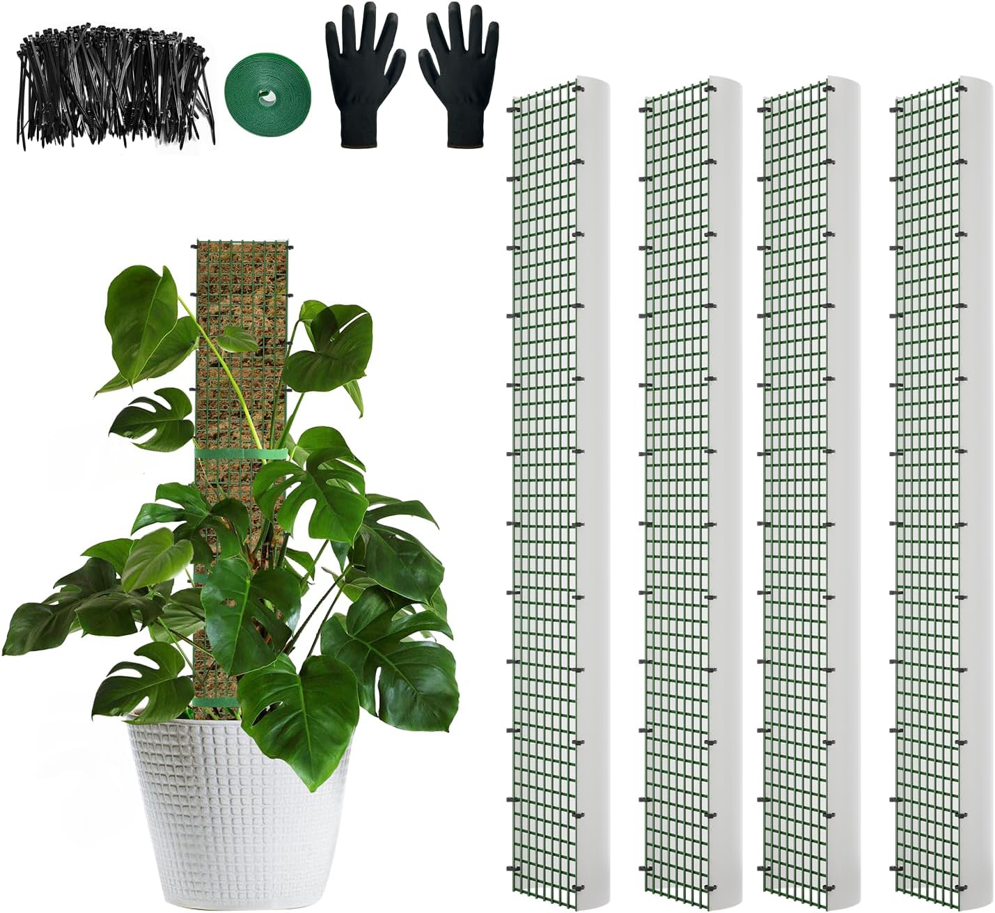 60"/40"/24" Metal Moss Pole, D Shape Sphagnum Moss Pole, Moss Poles for Climbing Plants, Monstera, Indoor Climbing Plants(4Pcs 40")