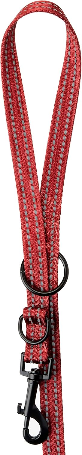 alcott Adjustable Leash with Reflective Stitching & Neoprene Padding, Medium, Red