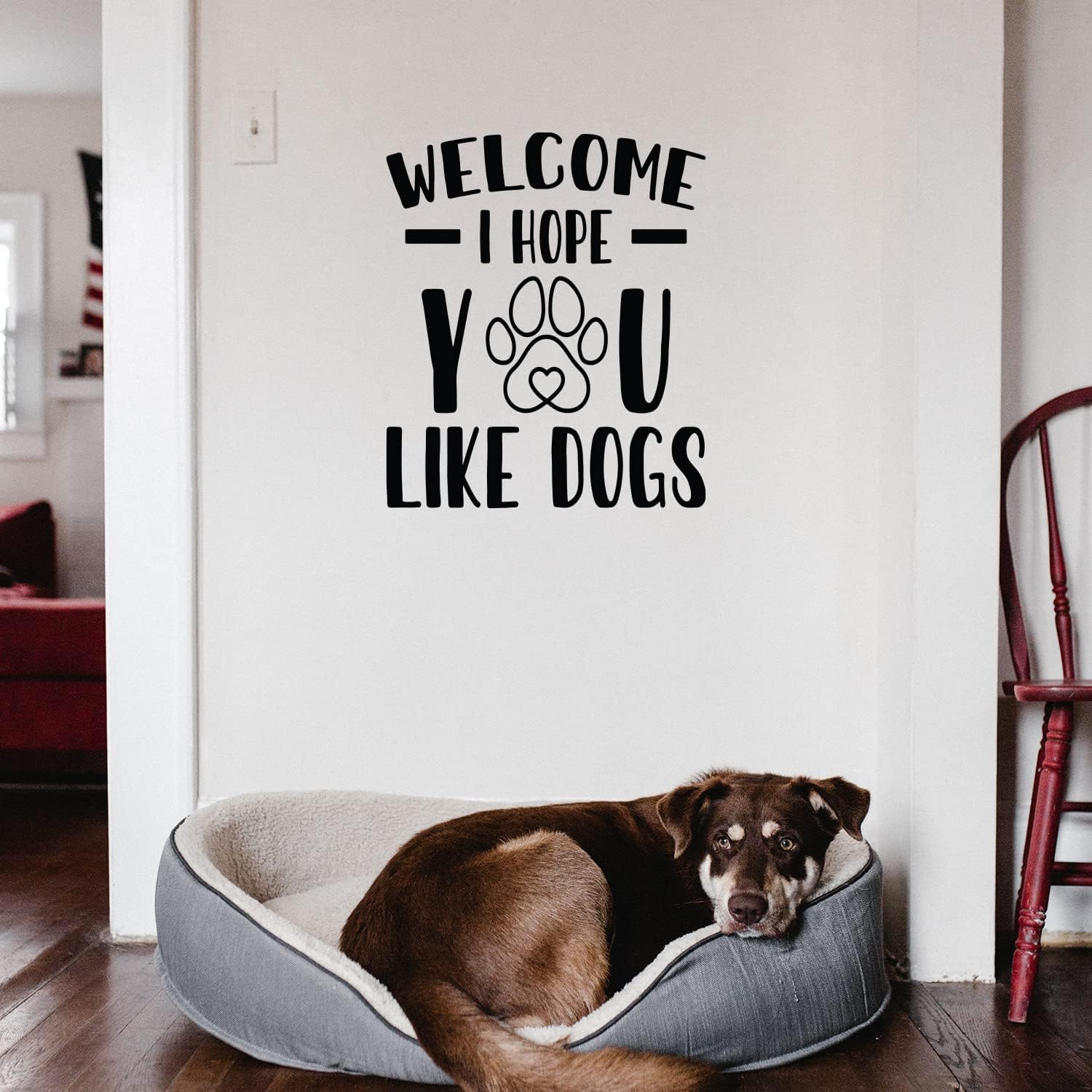 Vinyl Wall Art Decal - I Hope You Like Dogs - 20 x 17 - Trendy Lovely Inspiring Funny Quote Sticker for Home Pets Lovers Windows Doors Office Coffee Shop Veterinary Storefront Decor (Black)