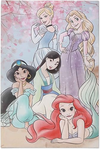 Open Road Brands Disney Princesses Gallery - Lienzo decorativo para pared, lienzo suave en colores pastel con Ariel, jazmín, Cenicienta y Mulan,
