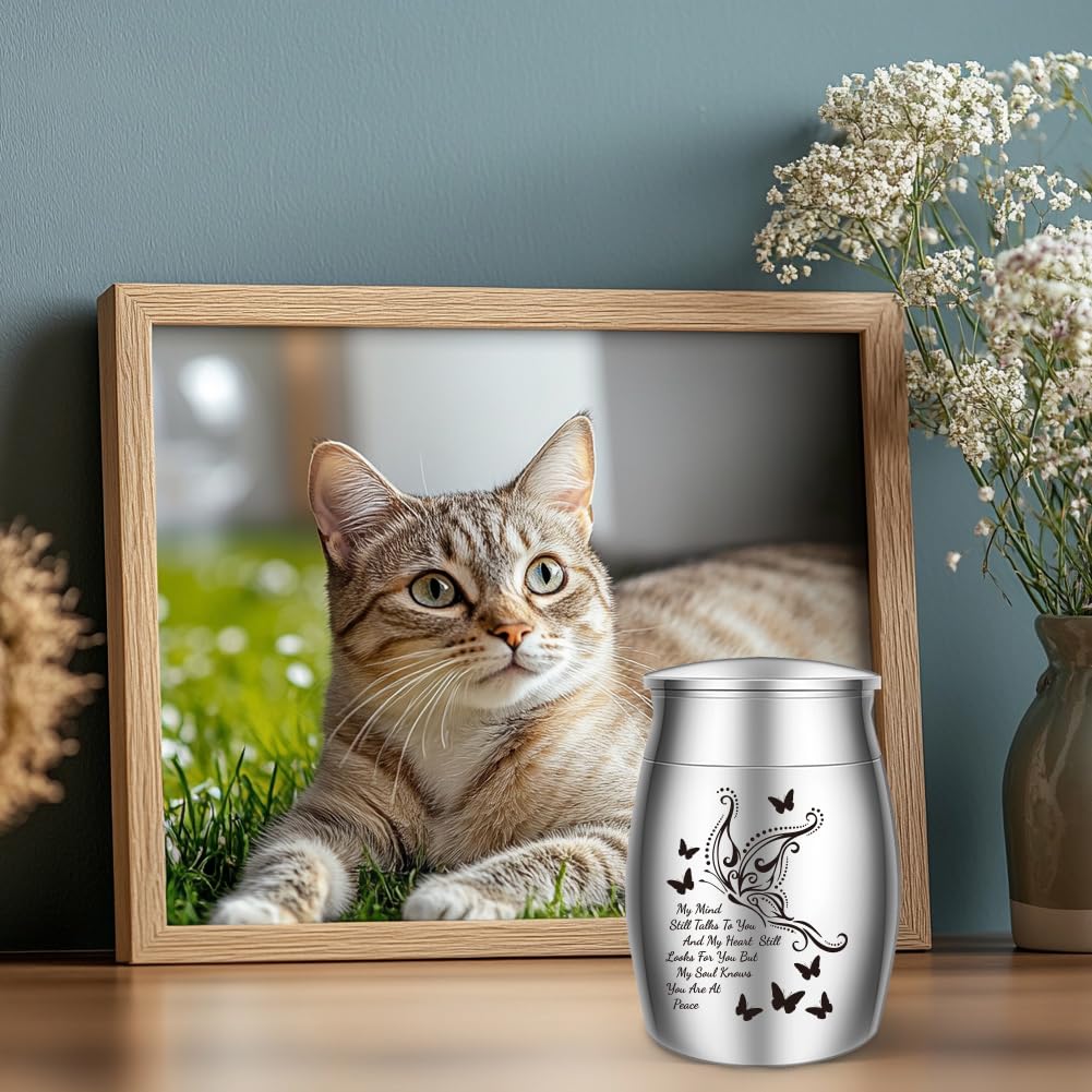 Small Urns For Human Ashes Small Keepsake Urns For Human Ashes Set Of 4 Mini Funeral Urn Butterfly 899699