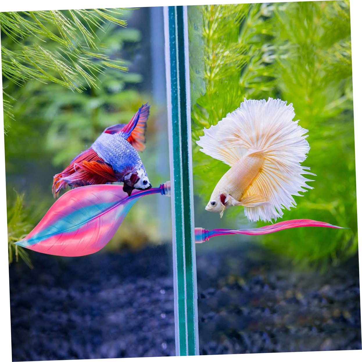 Kisangel 10piezas Hammock para Peces Betta Decoración Acuática Ventosa Cama para Reposo y Desove De Simulada para Acuarios Accesorio para Peceras De Agua Dulce y Salada