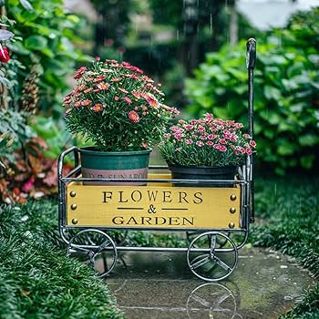 71NHSddbahL._AC_UF350,