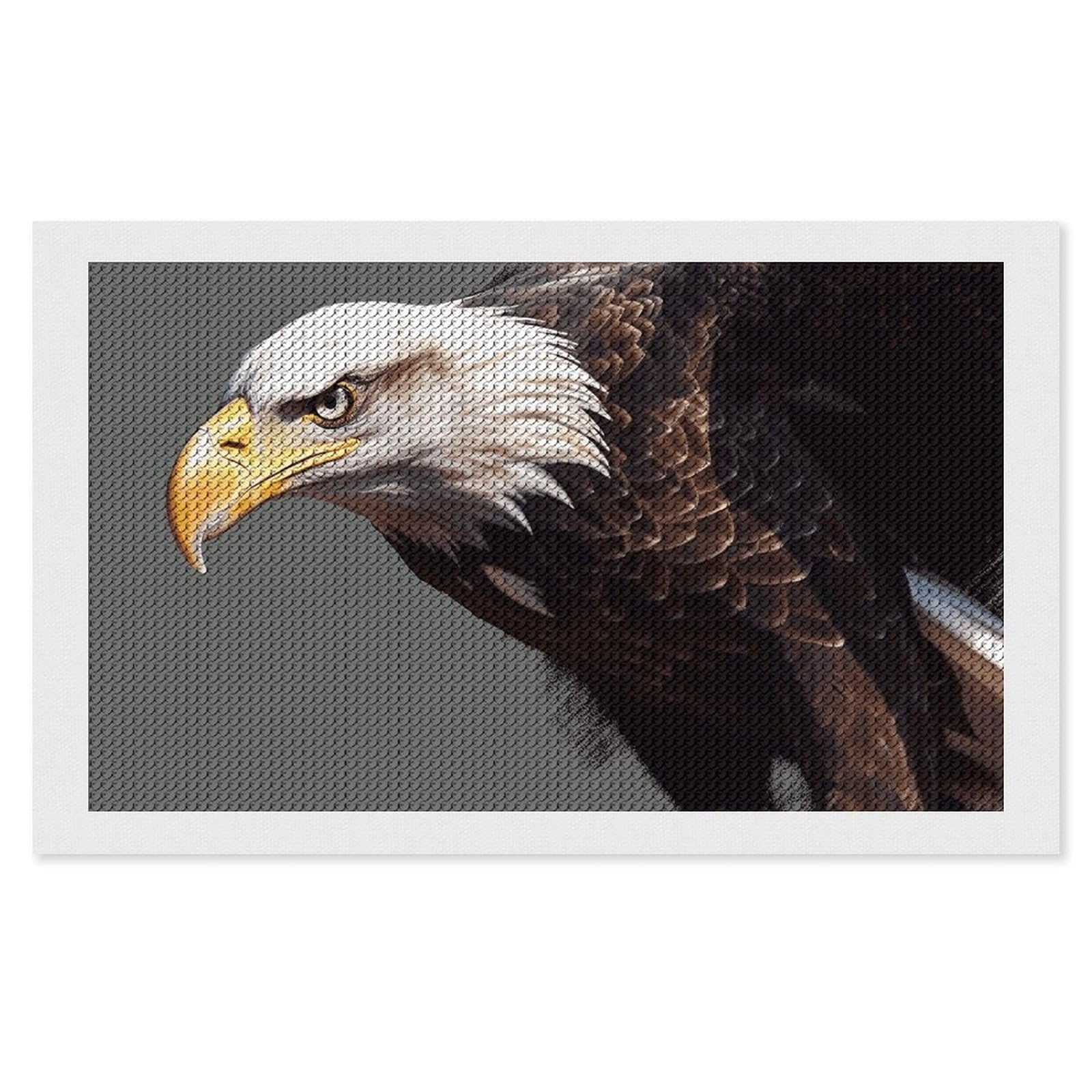 NONHAI Diamond Painting Kits for Adults - DIY Diamond Art Kits for Beginners - Full 5D Paint Drill Diamond Dots Paintings- Eagle Diamonds Pictures Gem Art and Craft Wall Decor 12"x20"