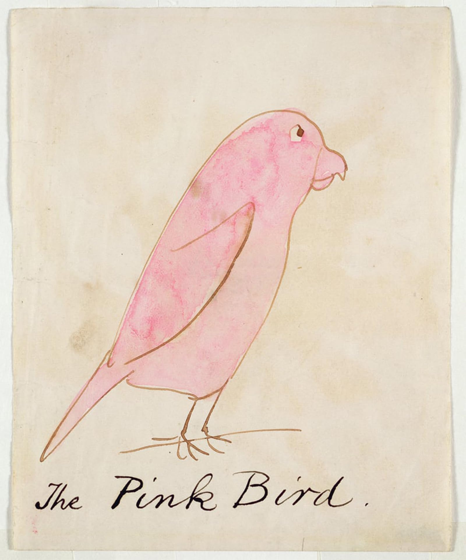 RZHRHJES Abstract Painting Poster Art Print Canvas Print Poster the Pink Bird by Edward Leaars Landscape Canvas Painting for Home Decor 60x90cm