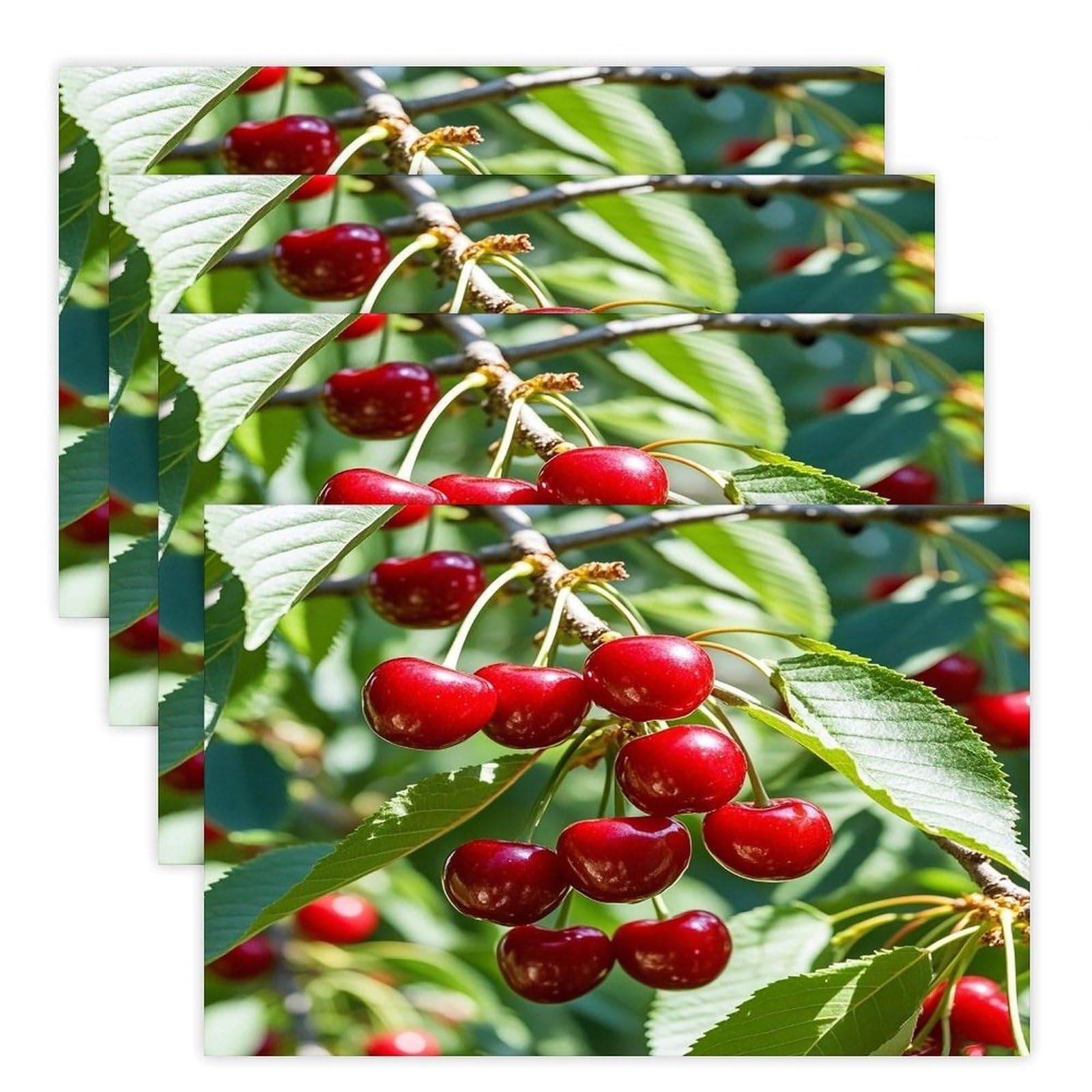 Cherry Placemats Flax Place Mats for Dining Table Rectangle Non-Slip Table Mats Heat Resistant Washable Placemat for Kitchen Home Decor Party Outdoor 12" X 18"
