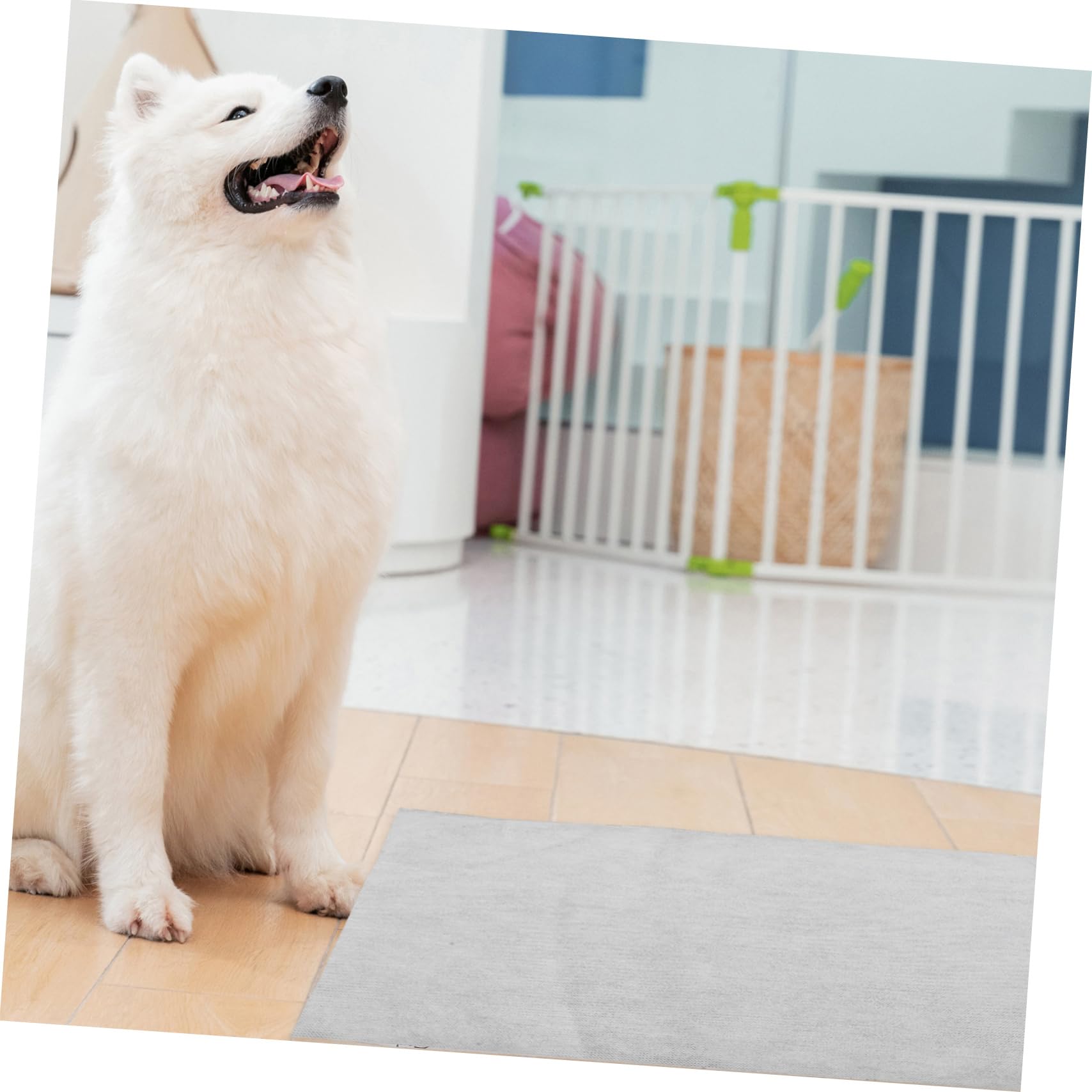 100stücke Hunde Unterlagen Schnell Absorbierende Urinal-Pads Für Welpentraining Für Kistenböden Und Reisen