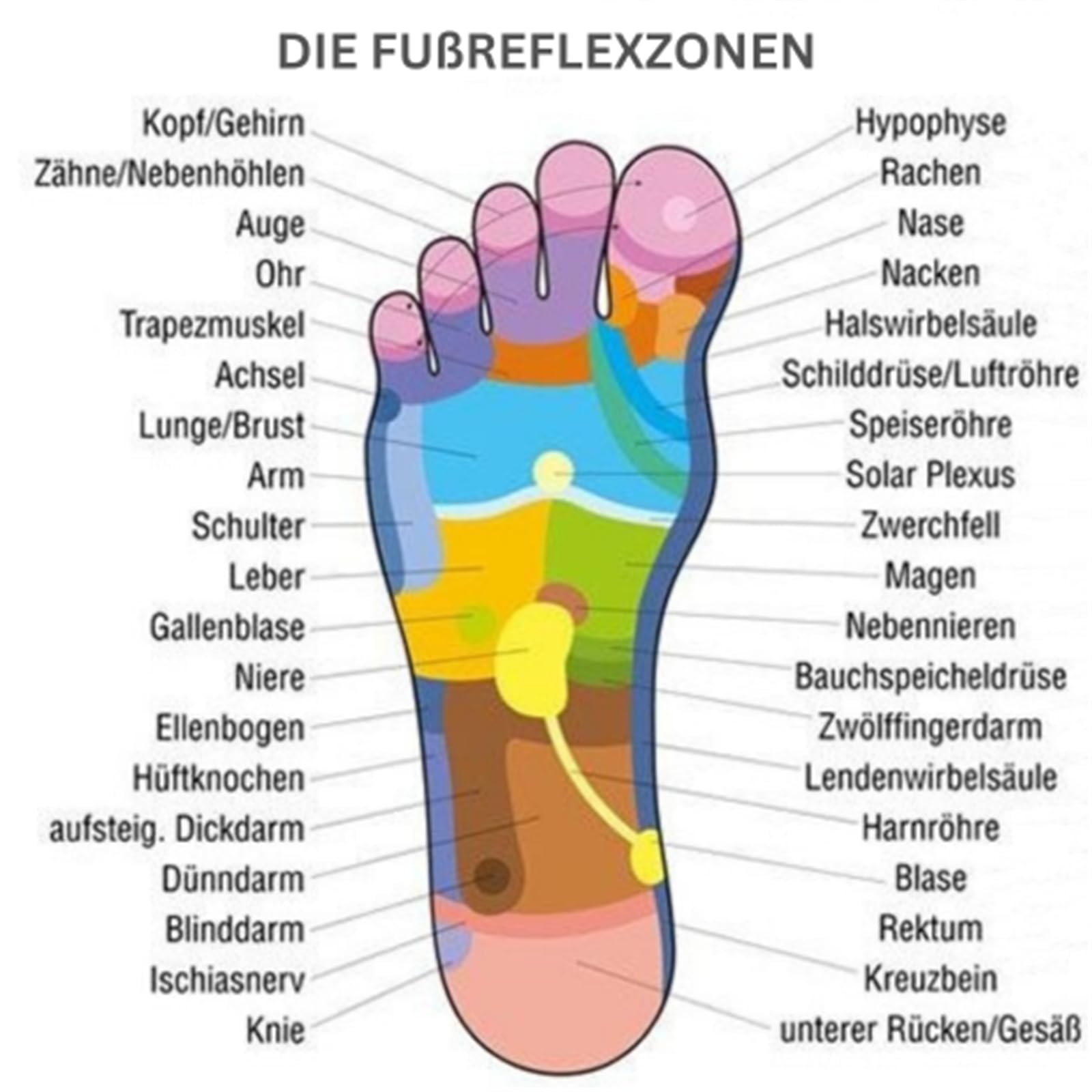 physioknee ZenFeet Das Original Reflexzonenmassage für Zuhause Fußmassage Hausschuhe Entspannung und Stressreduktion mit Shiatsu Fußmassage